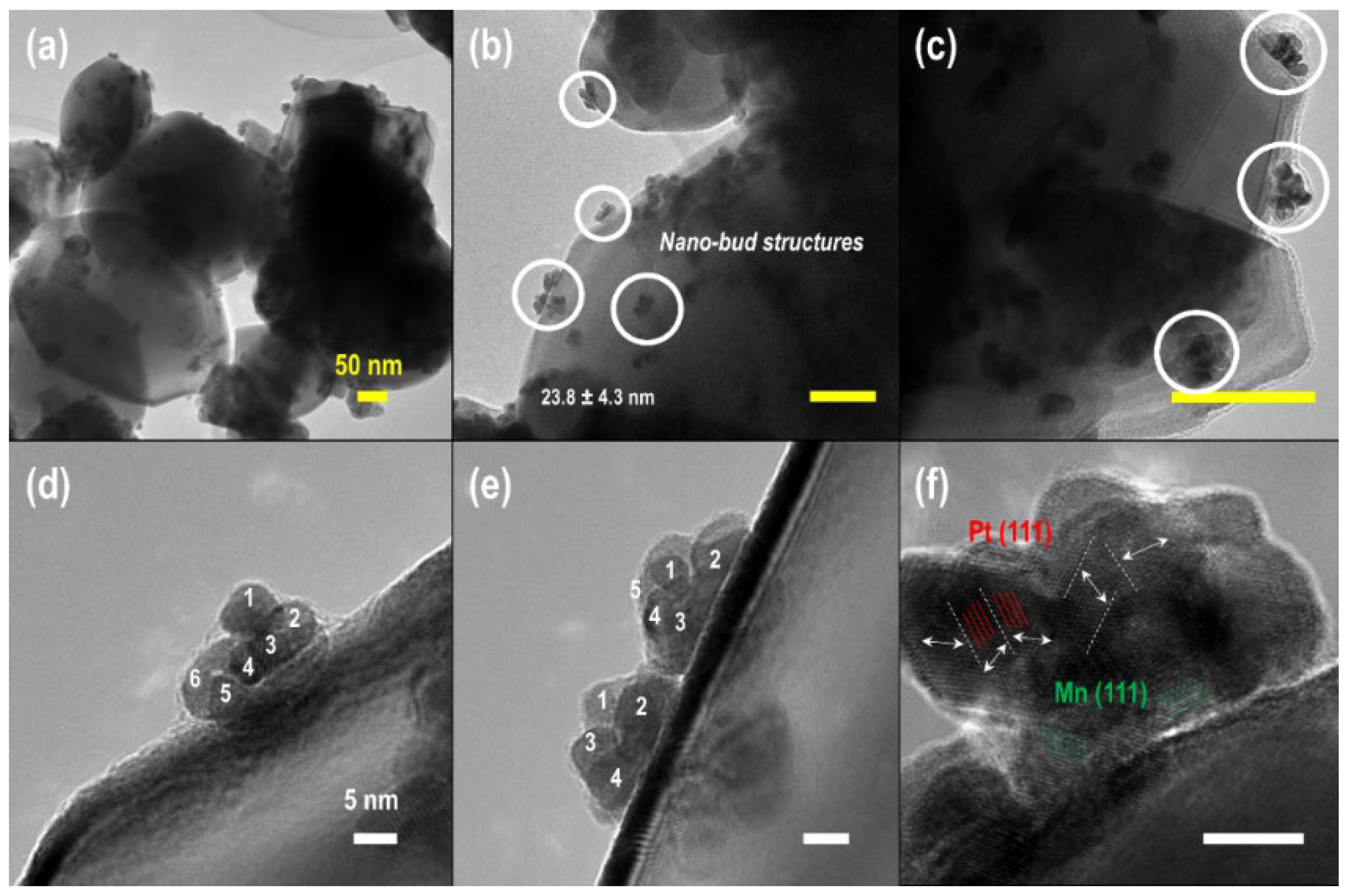 Molecules 29 03062 g008