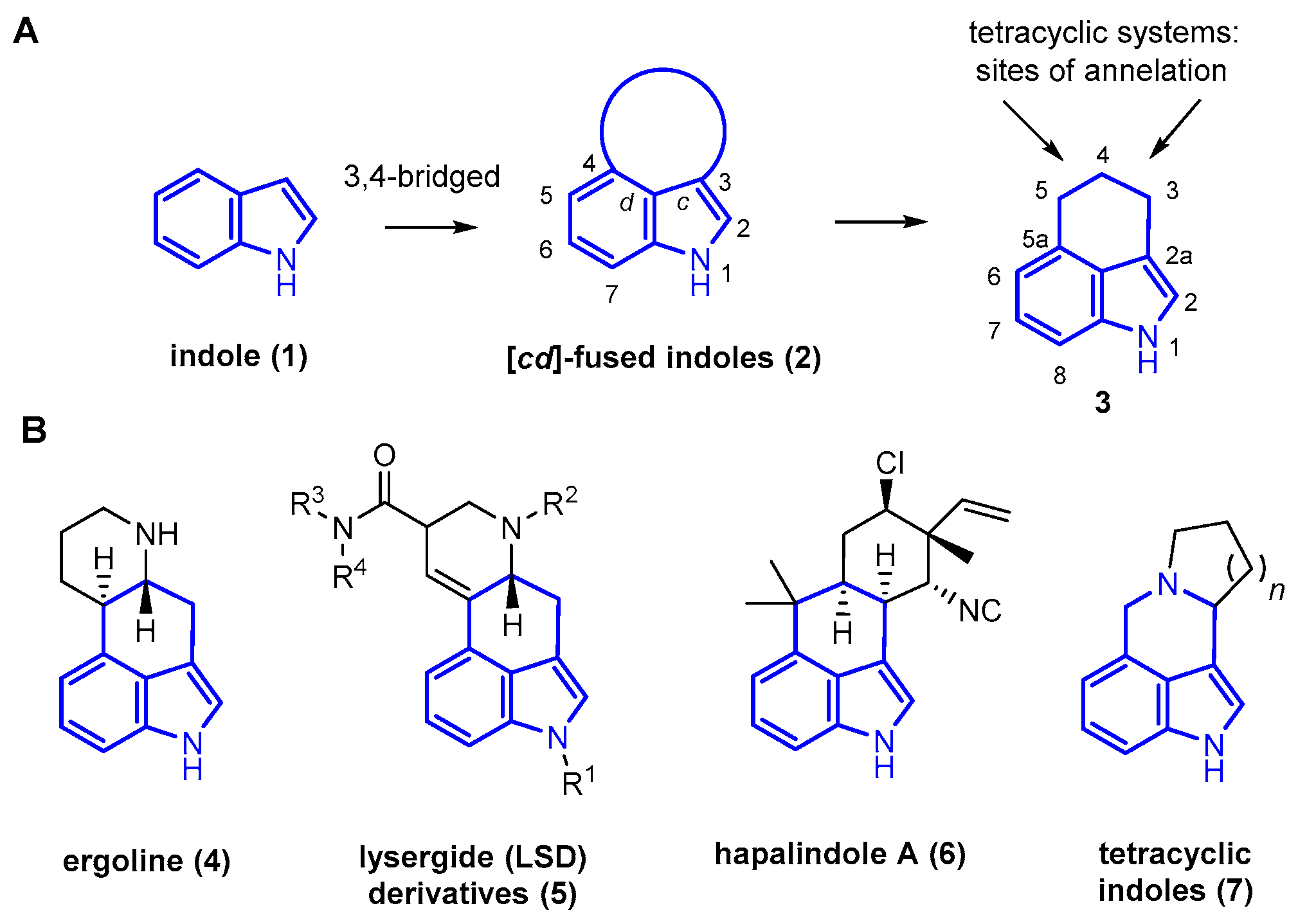 Molecules 29 03064 g001