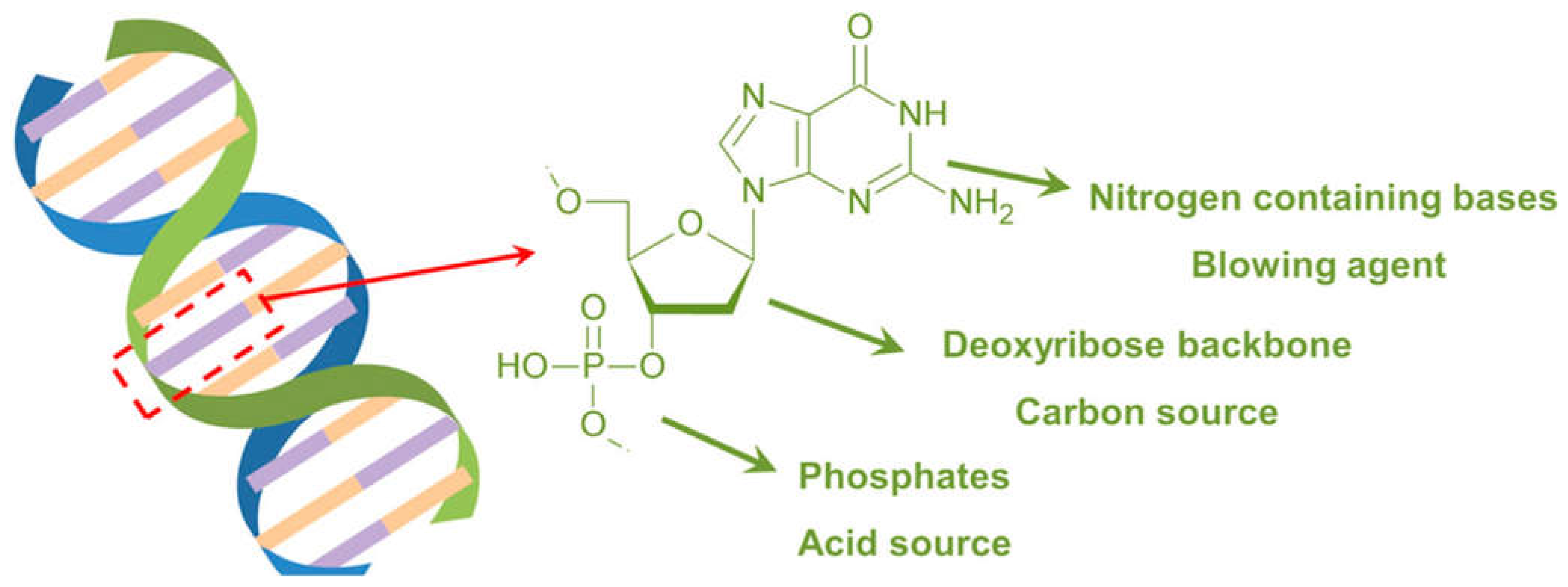 Molecules 29 03067 g006