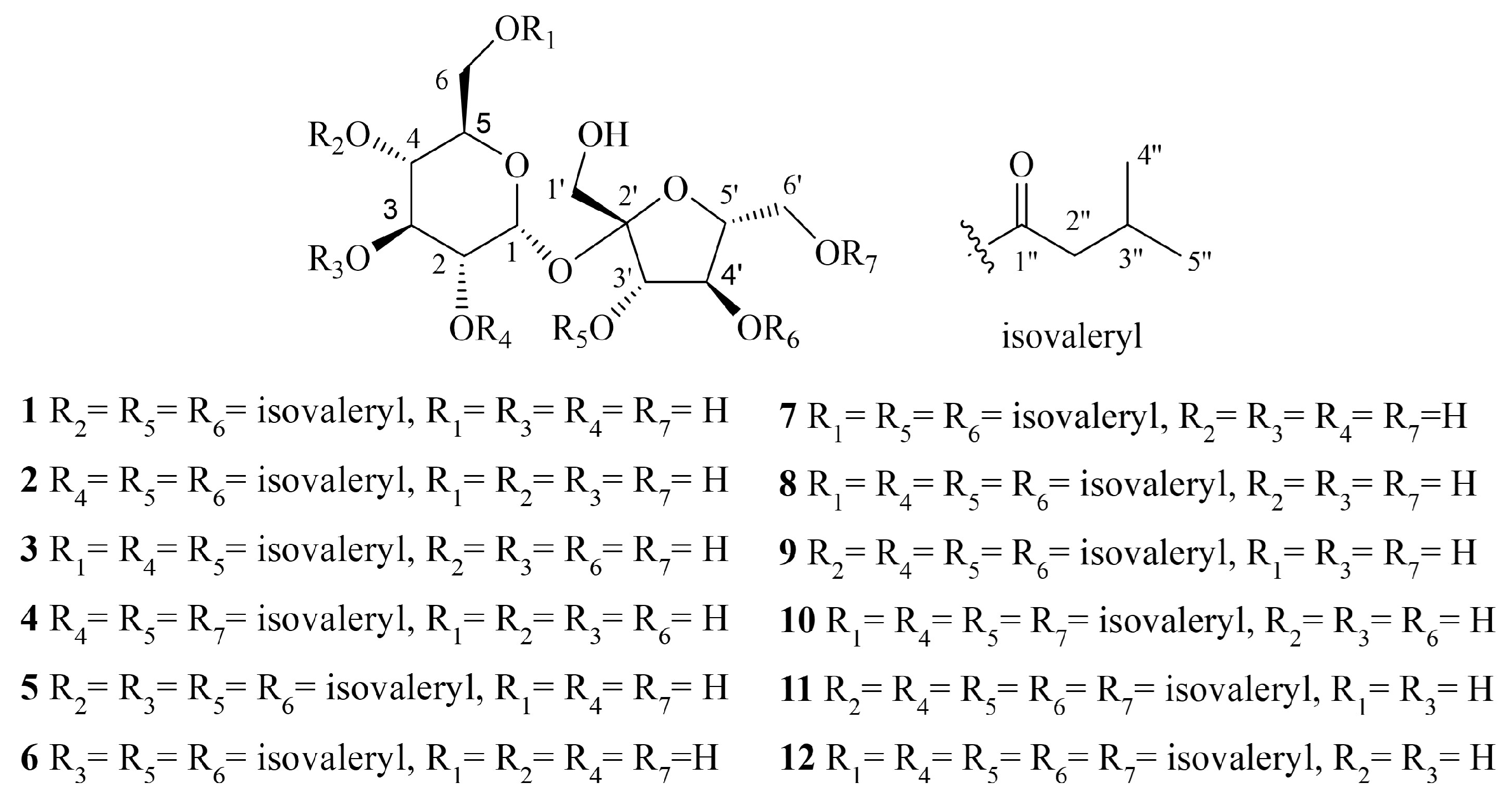 Molecules 29 03069 g001