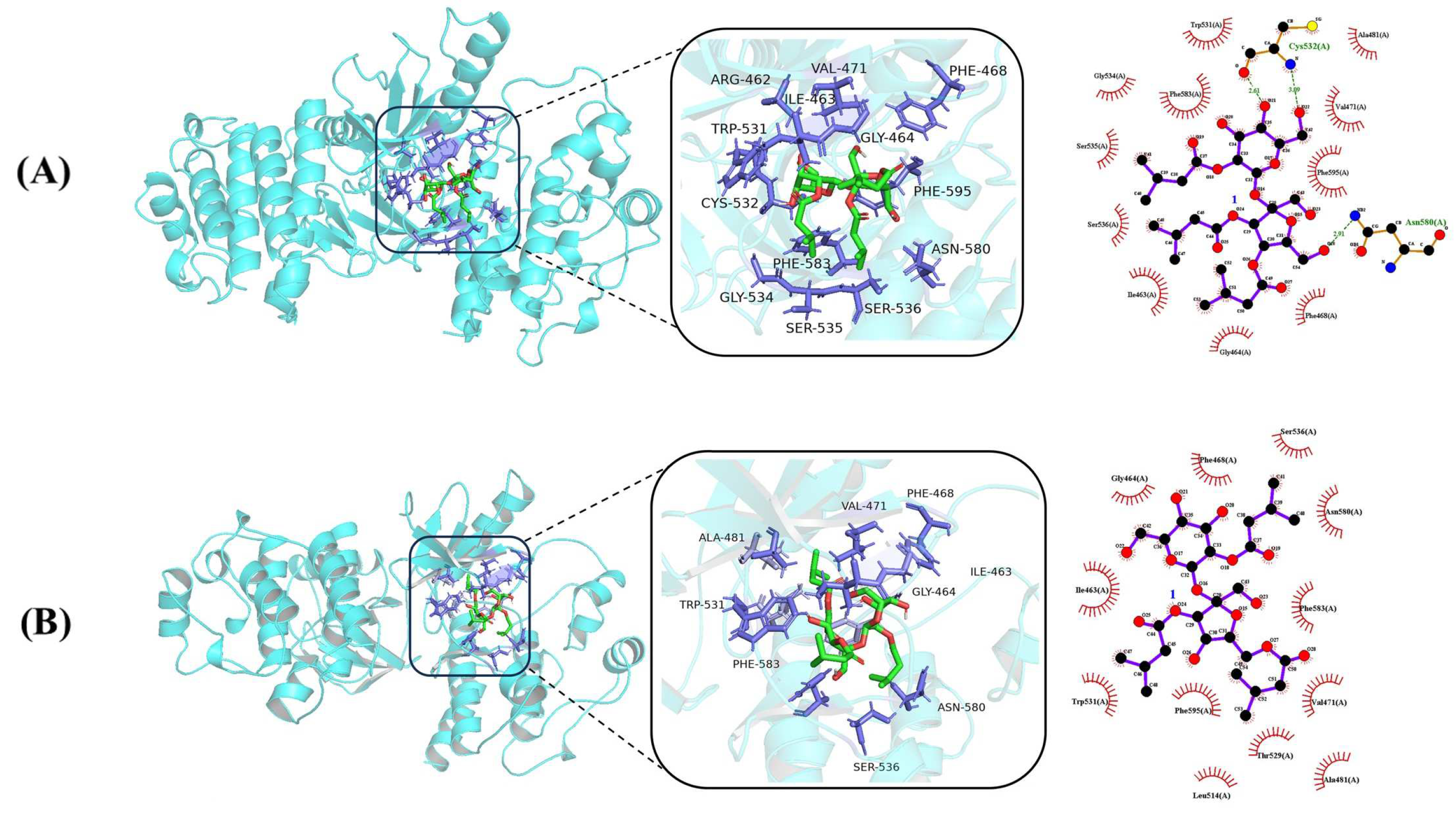 Molecules 29 03069 g005a
