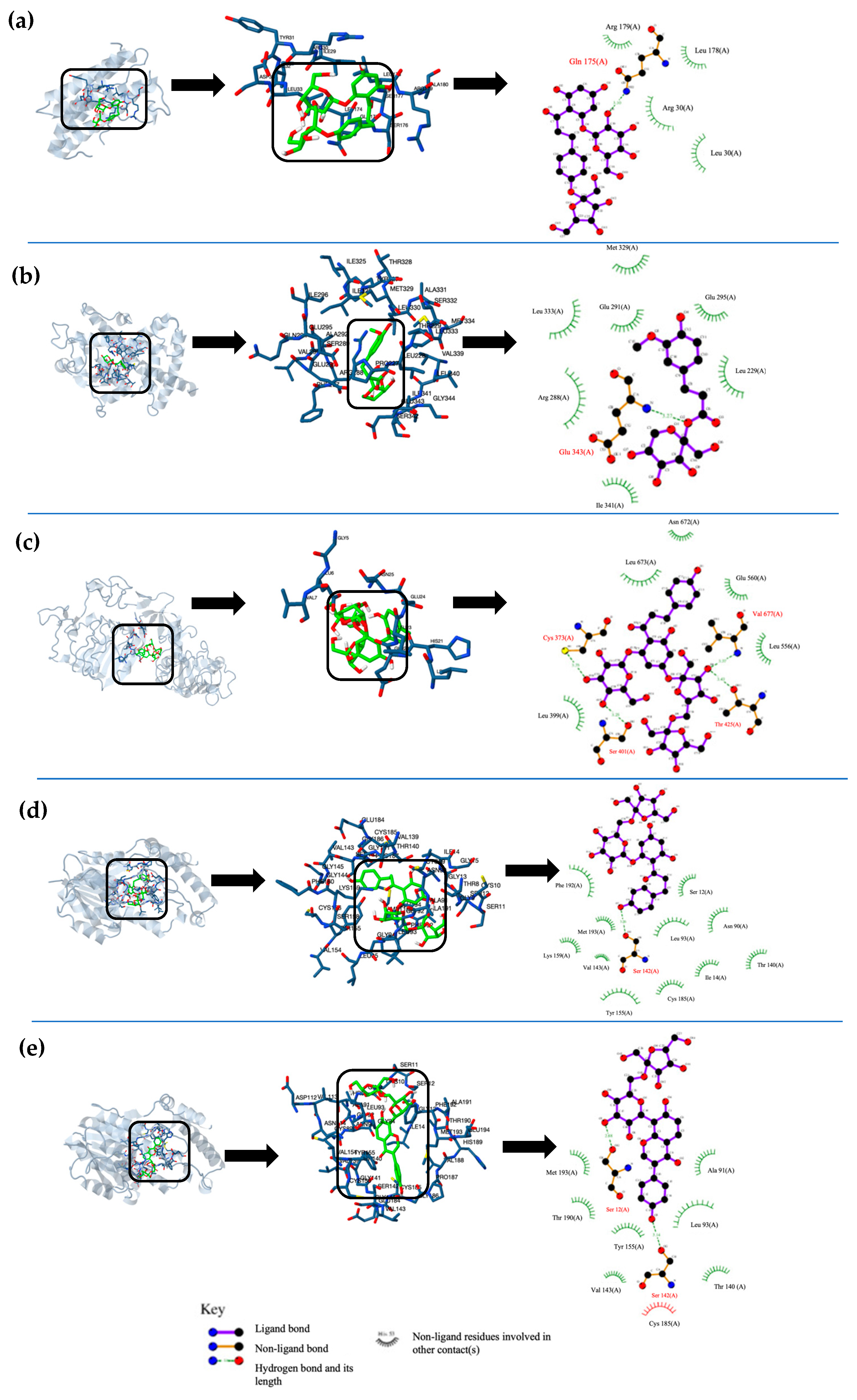 Molecules 29 03072 g002