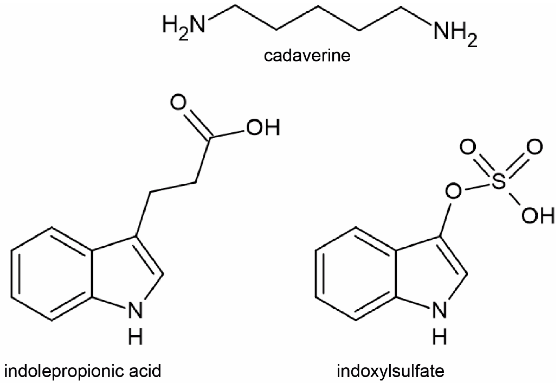 Molecules 29 03073 g001