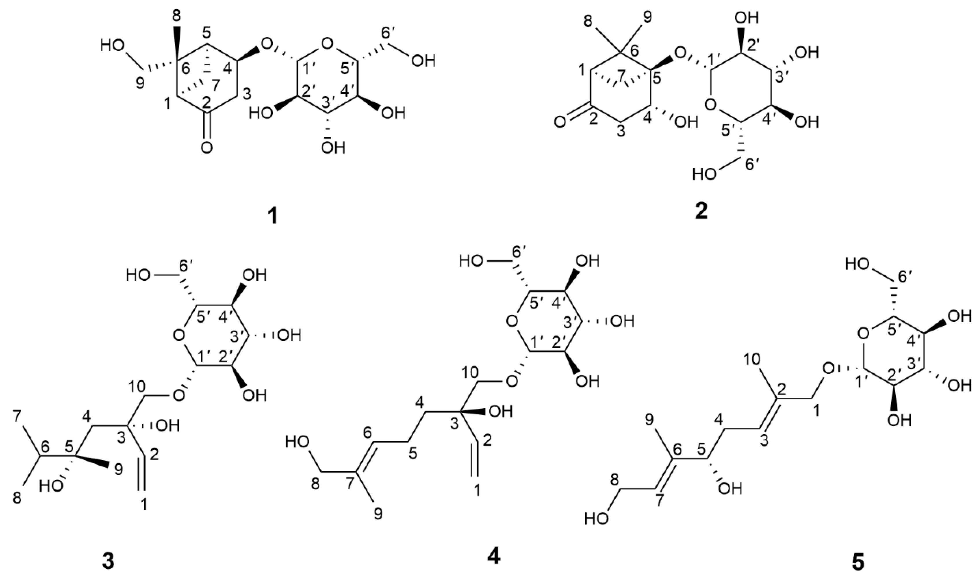 Molecules 29 03075 g001