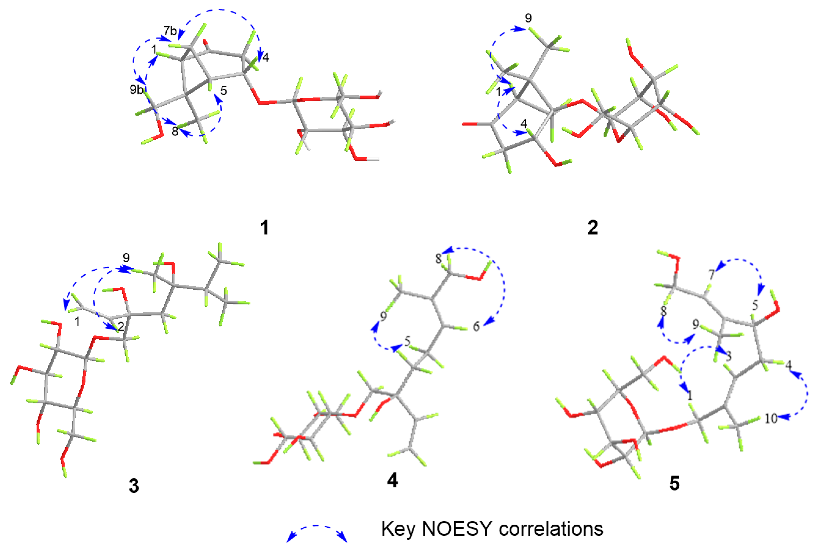Molecules 29 03075 g003
