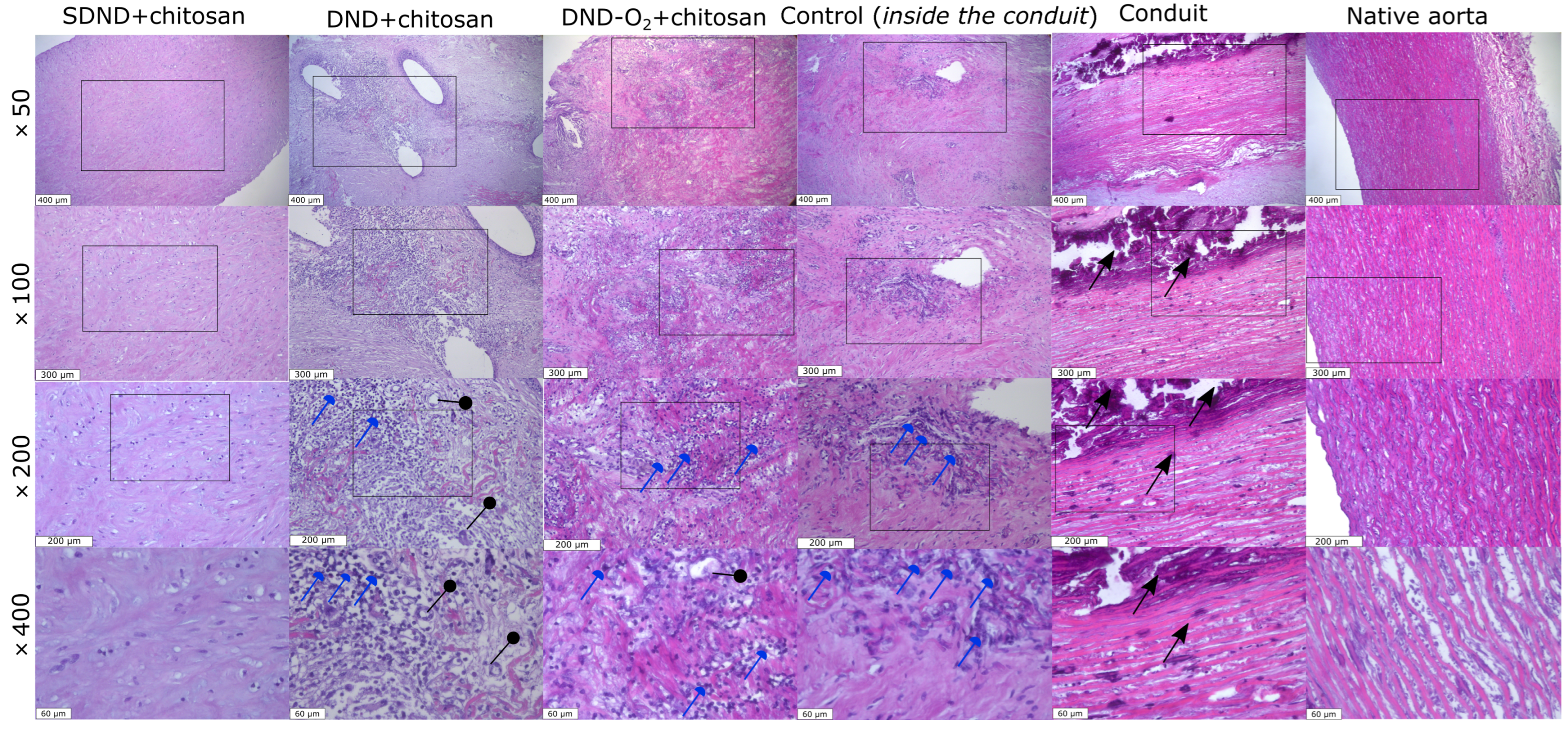 Molecules 29 03078 g001