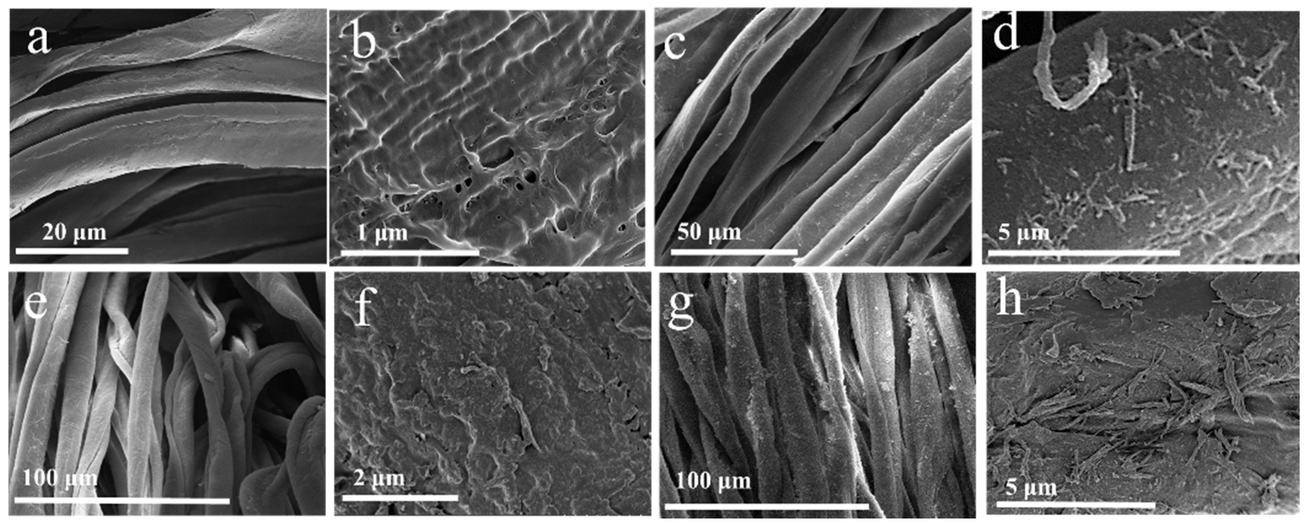 Molecules 29 03082 g002