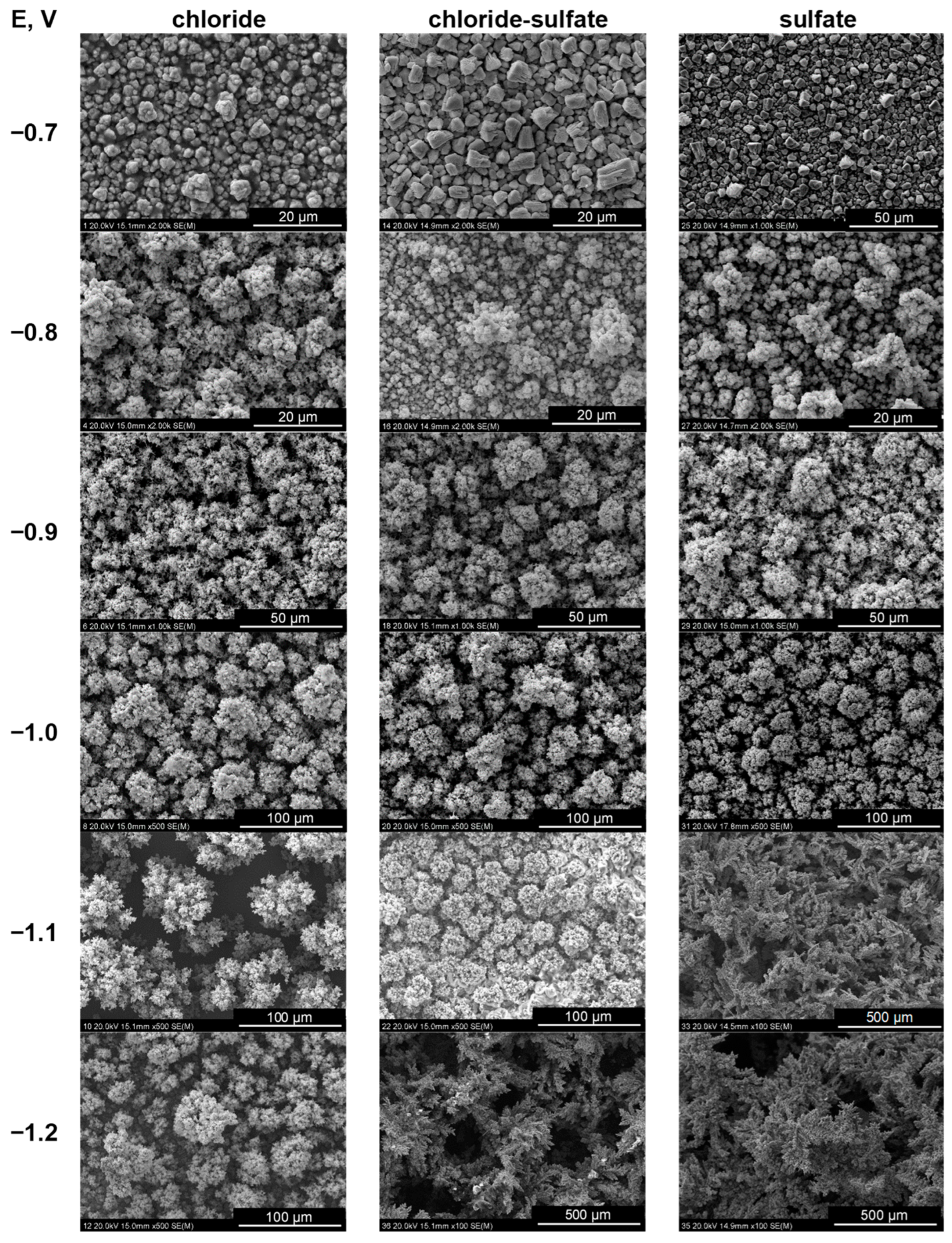 Molecules 29 03084 g004