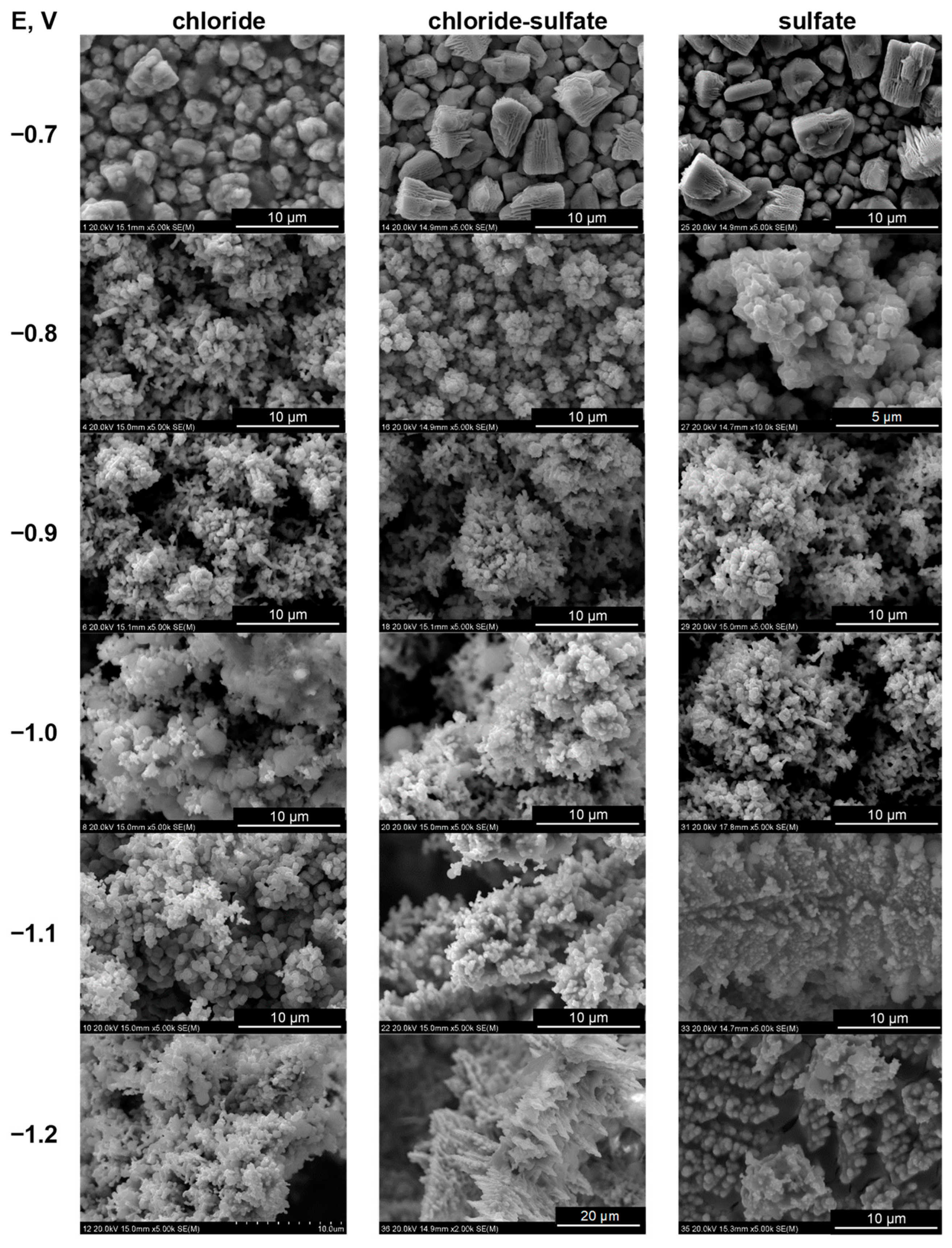 Molecules 29 03084 g005