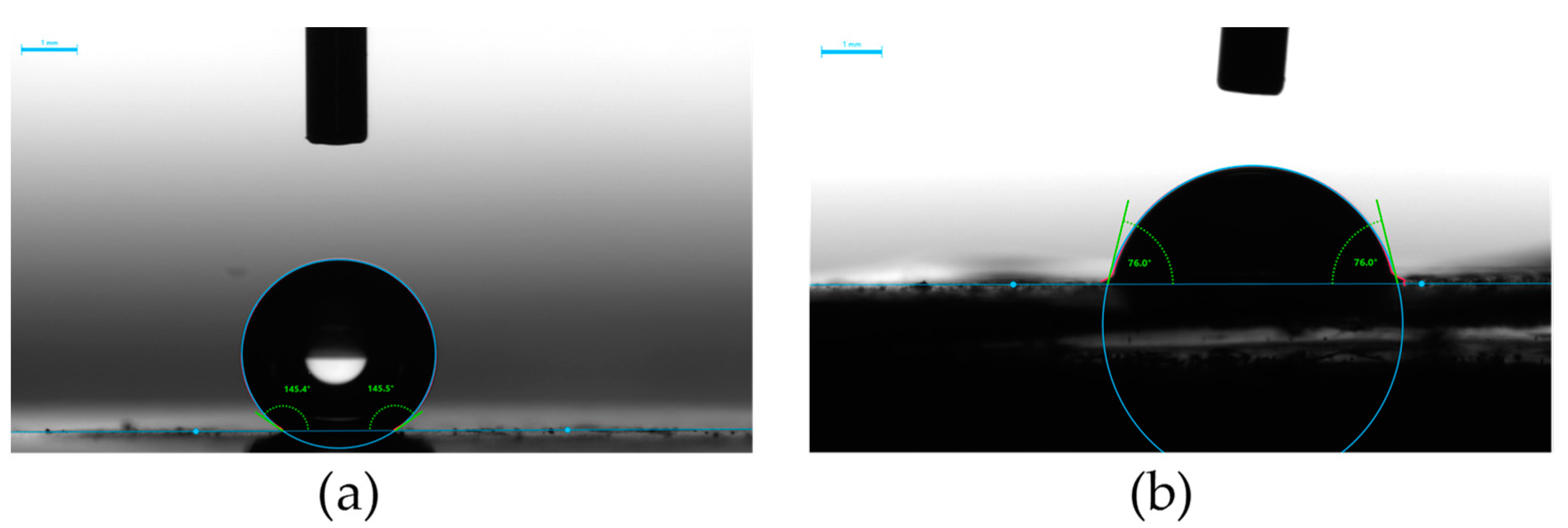 Molecules 29 03084 g009