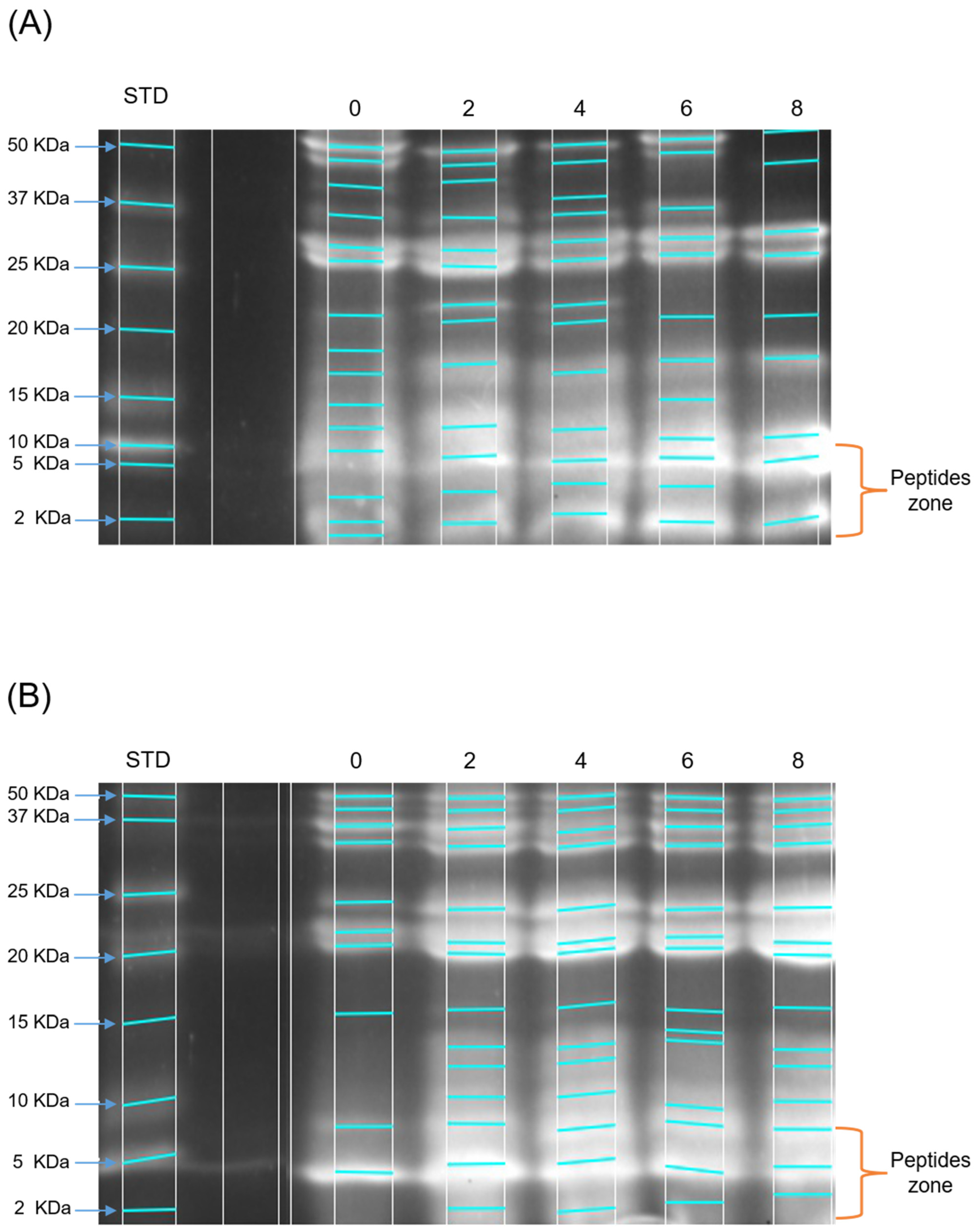 Molecules 29 03088 g001