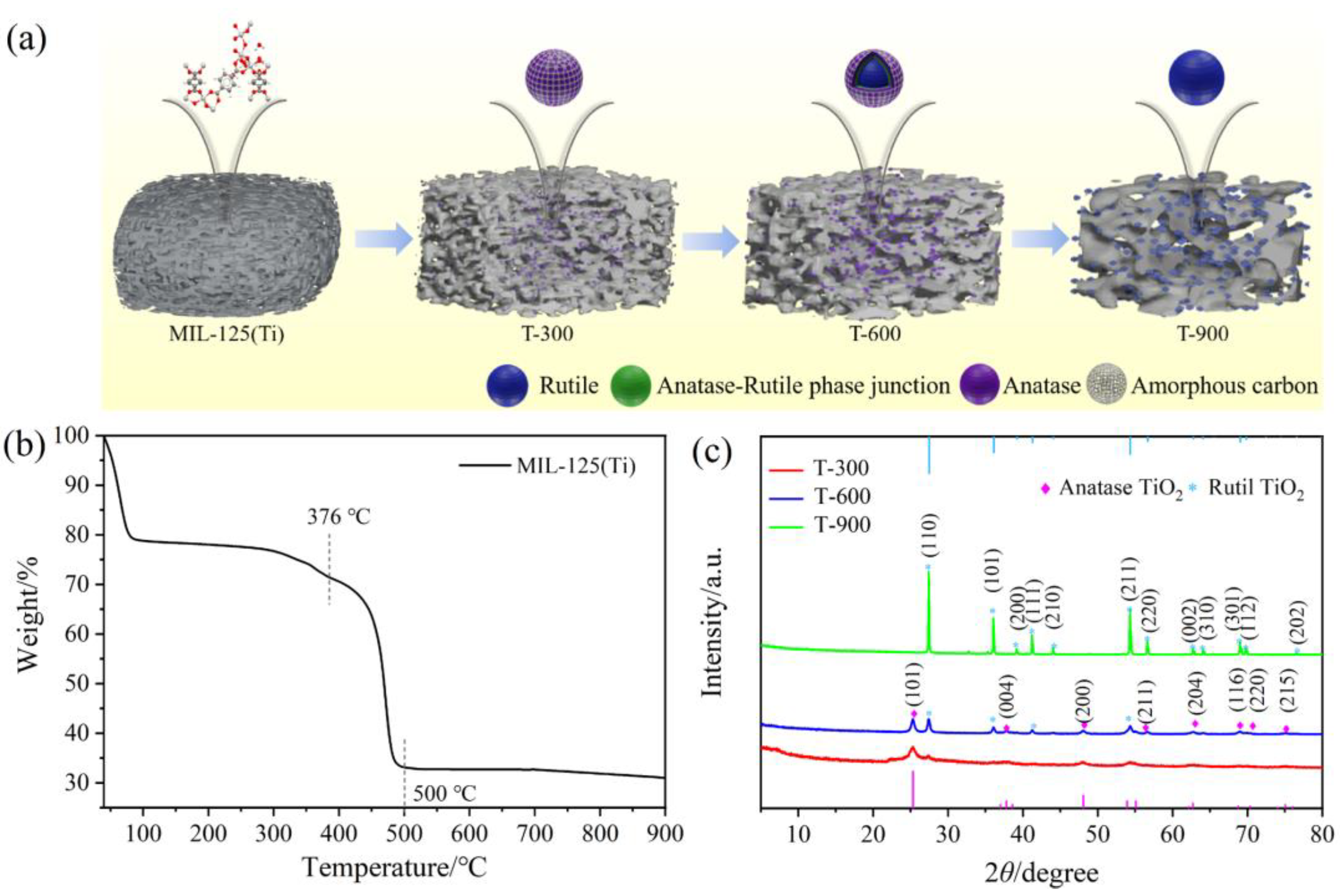 Molecules 29 03096 g001
