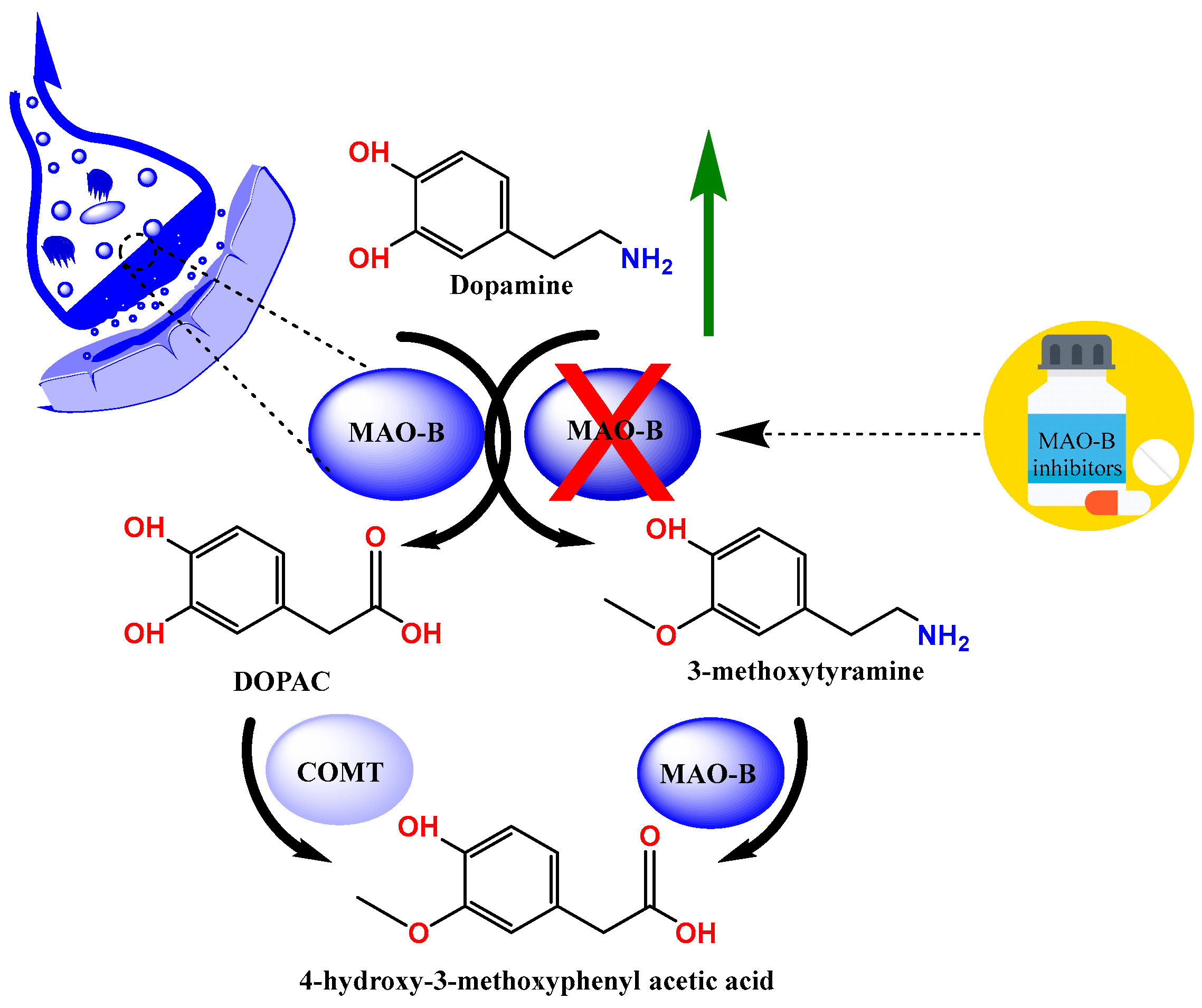 Molecules 29 03097 g001