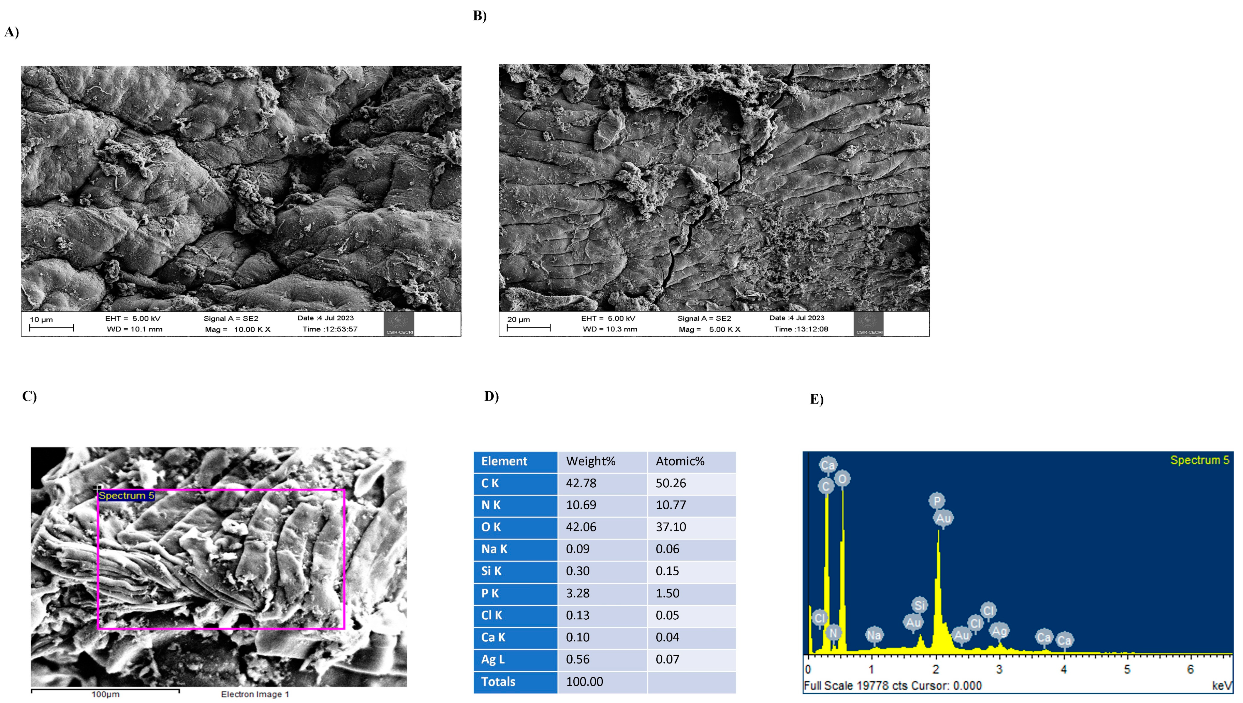 Molecules 29 03098 g003