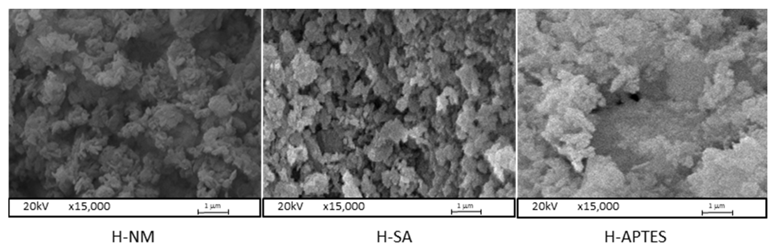 Molecules 29 03099 g001 Molecules 29 03099 g001