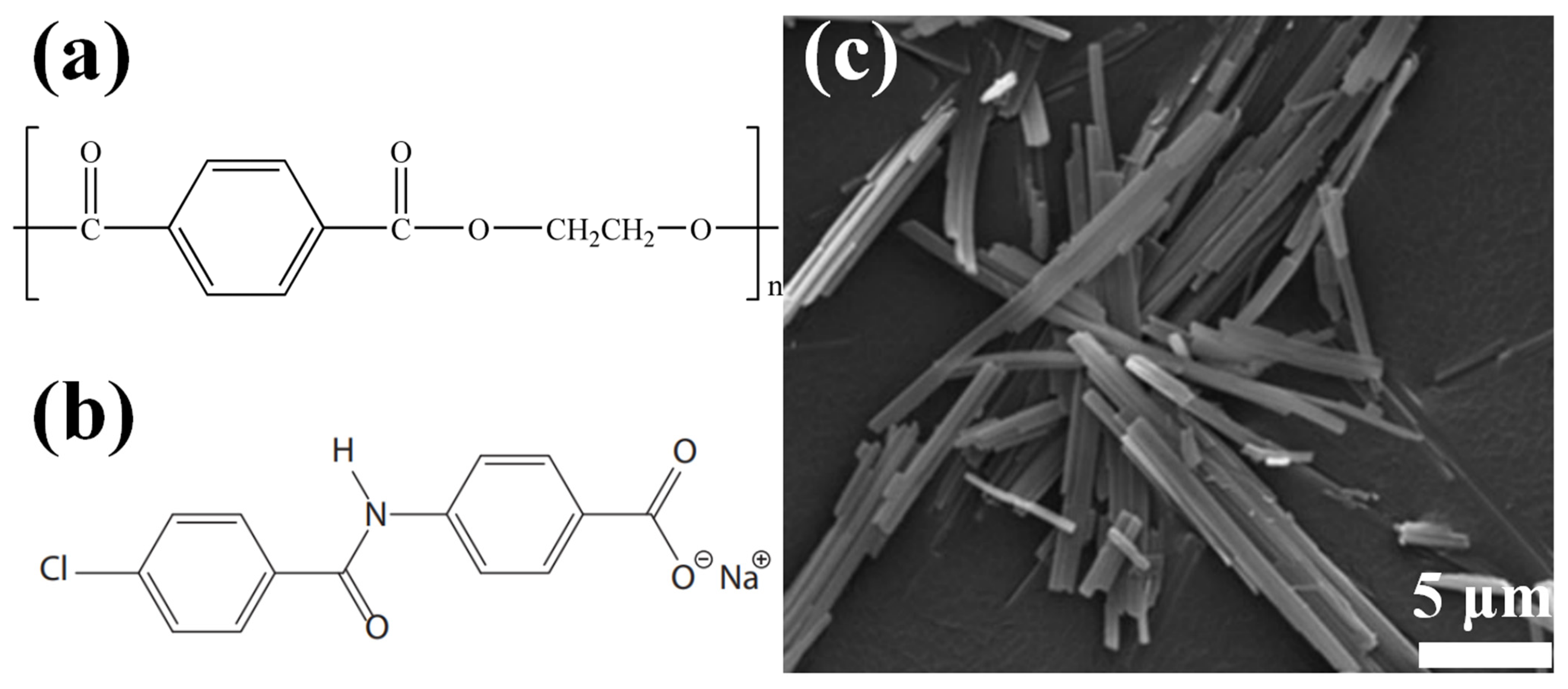 Molecules 29 03100 g001