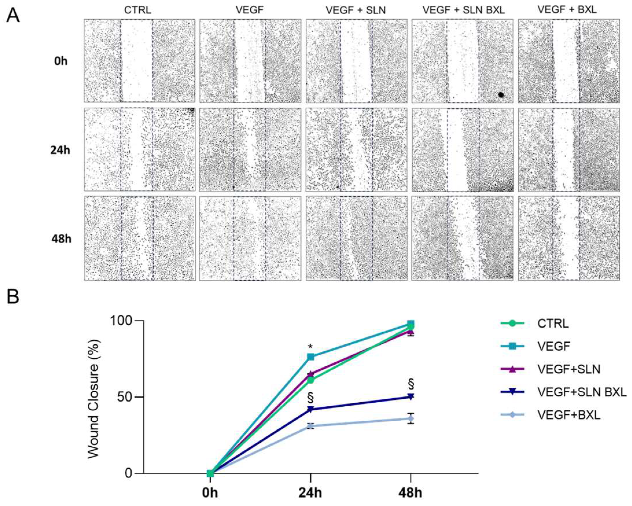 Molecules 29 03103 g008