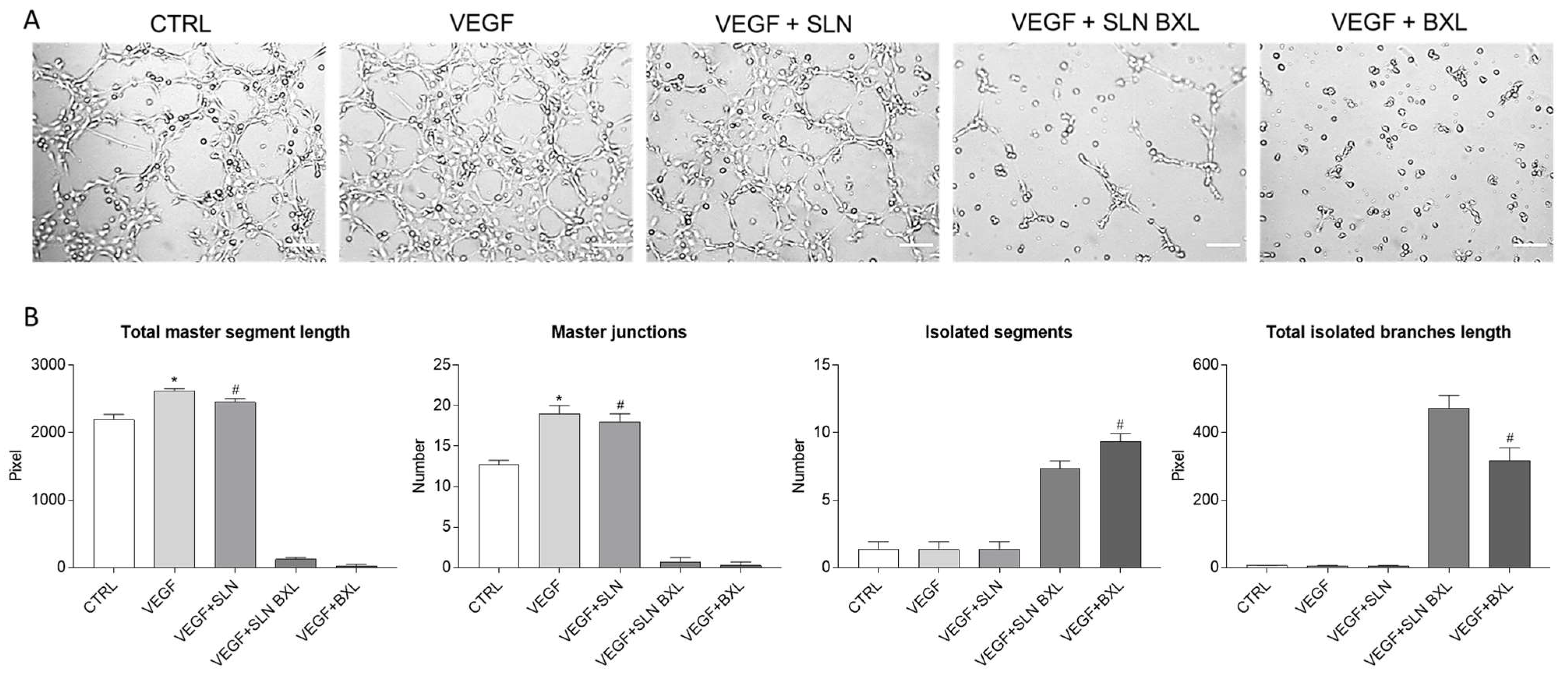 Molecules 29 03103 g009