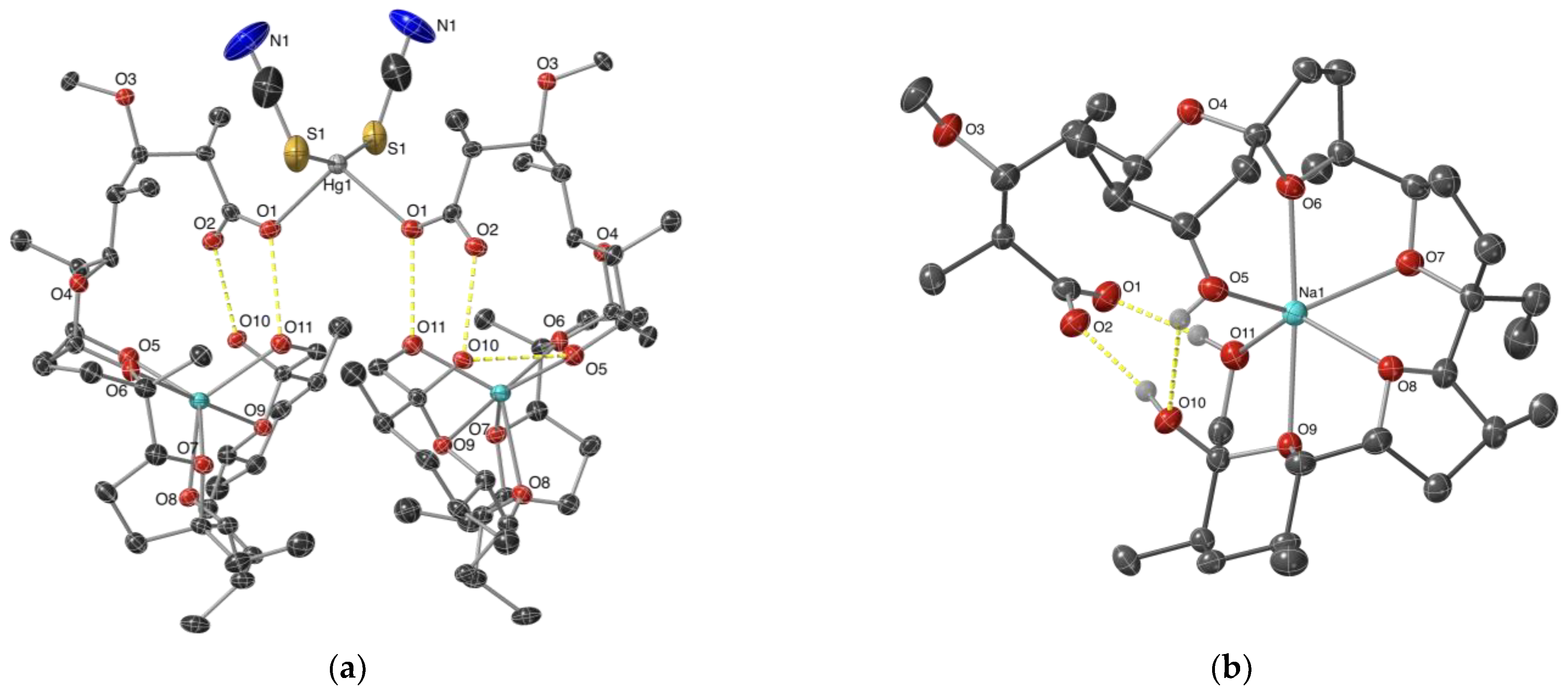 Molecules 29 03106 g002