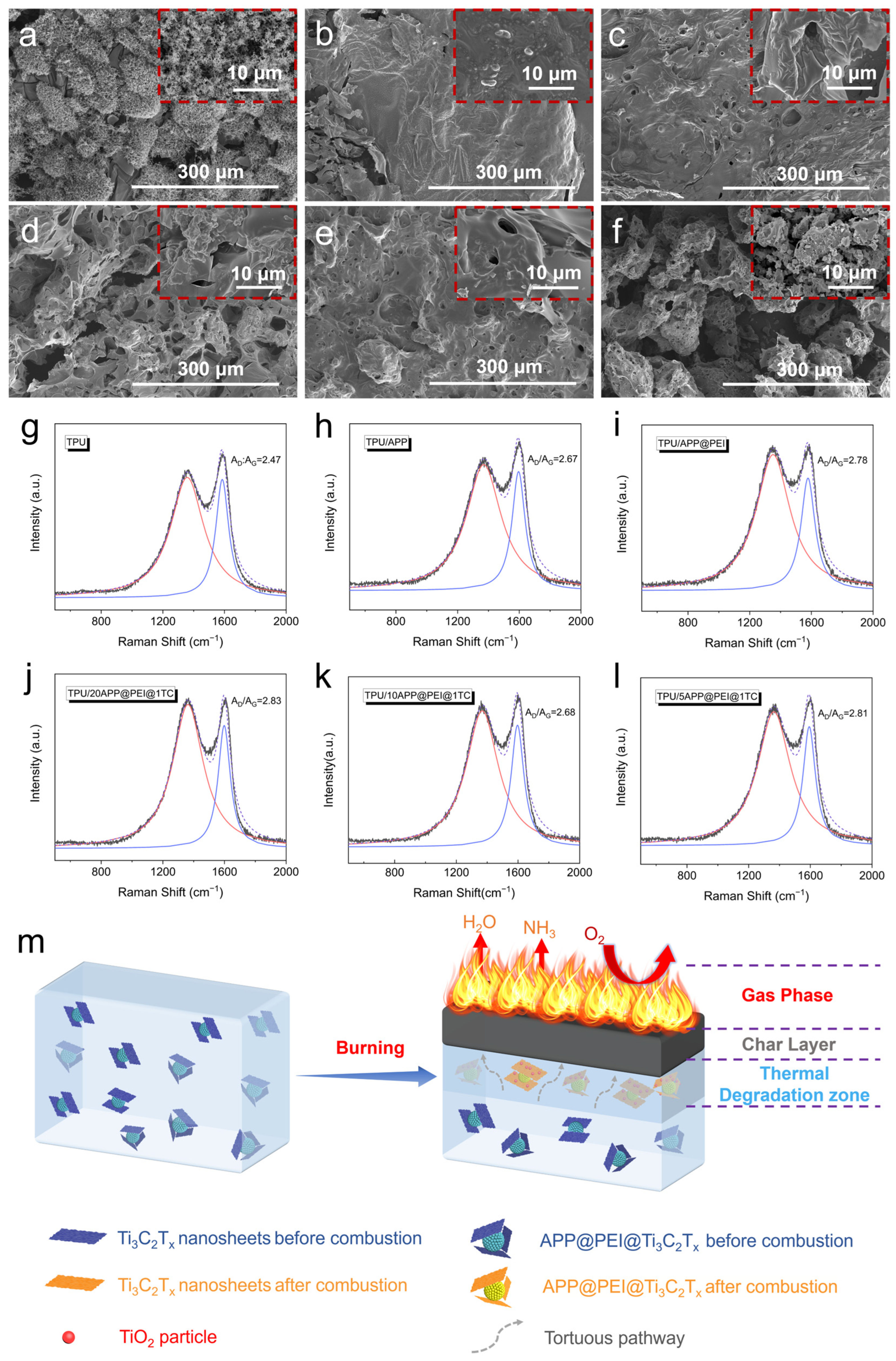 Molecules 29 03108 g003