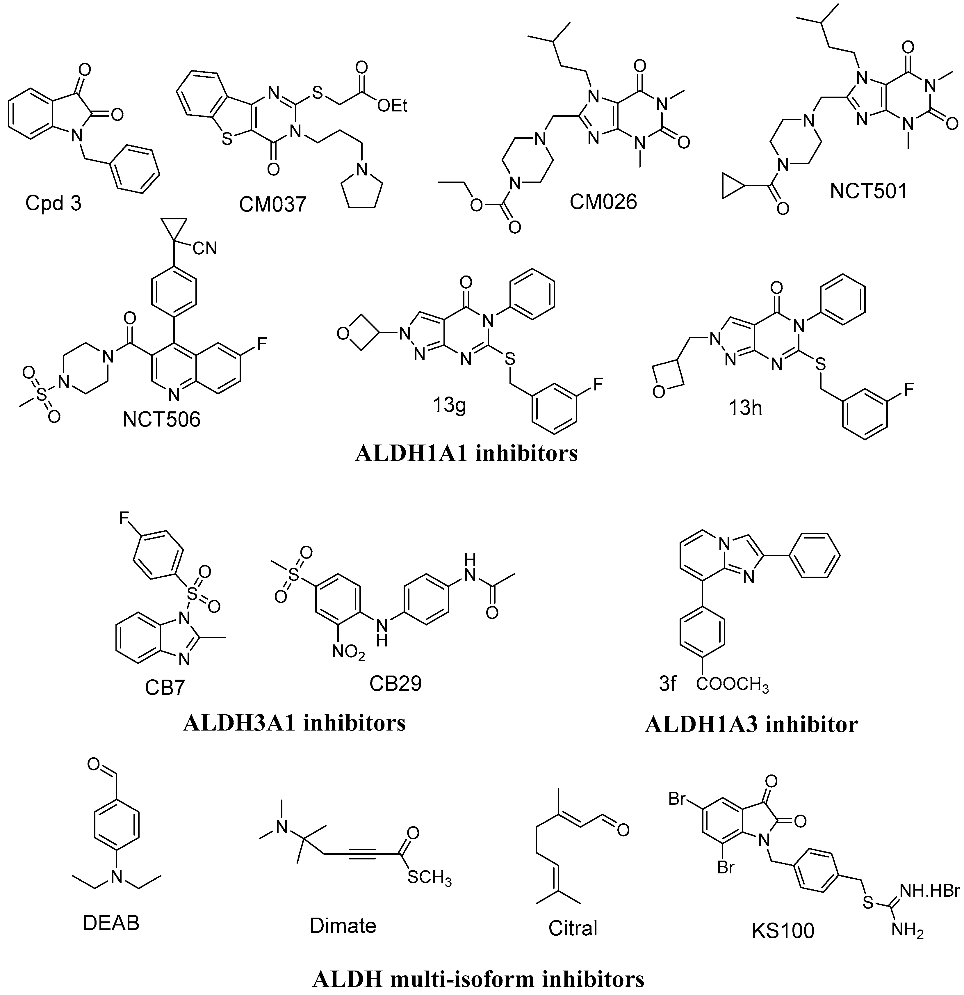 Molecules 29 03114 g001