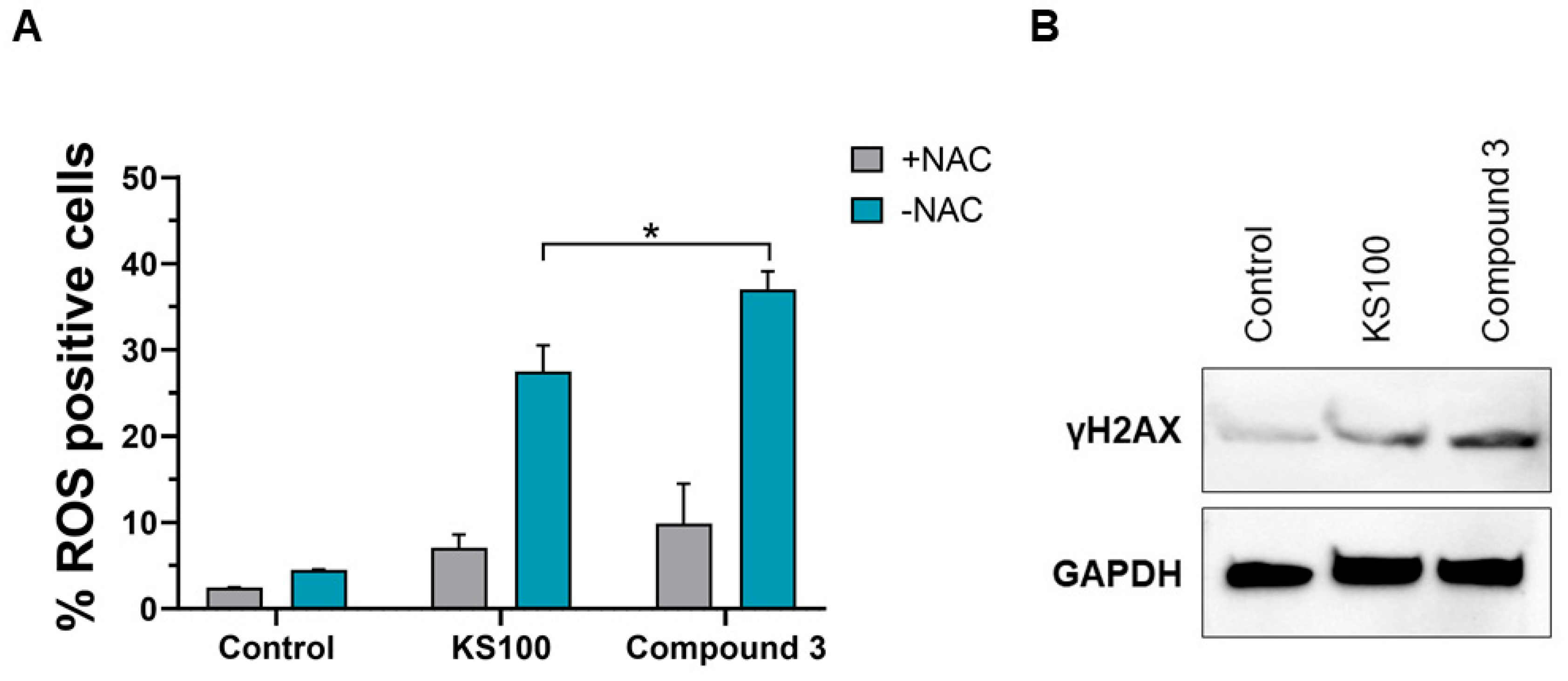 Molecules 29 03114 g006