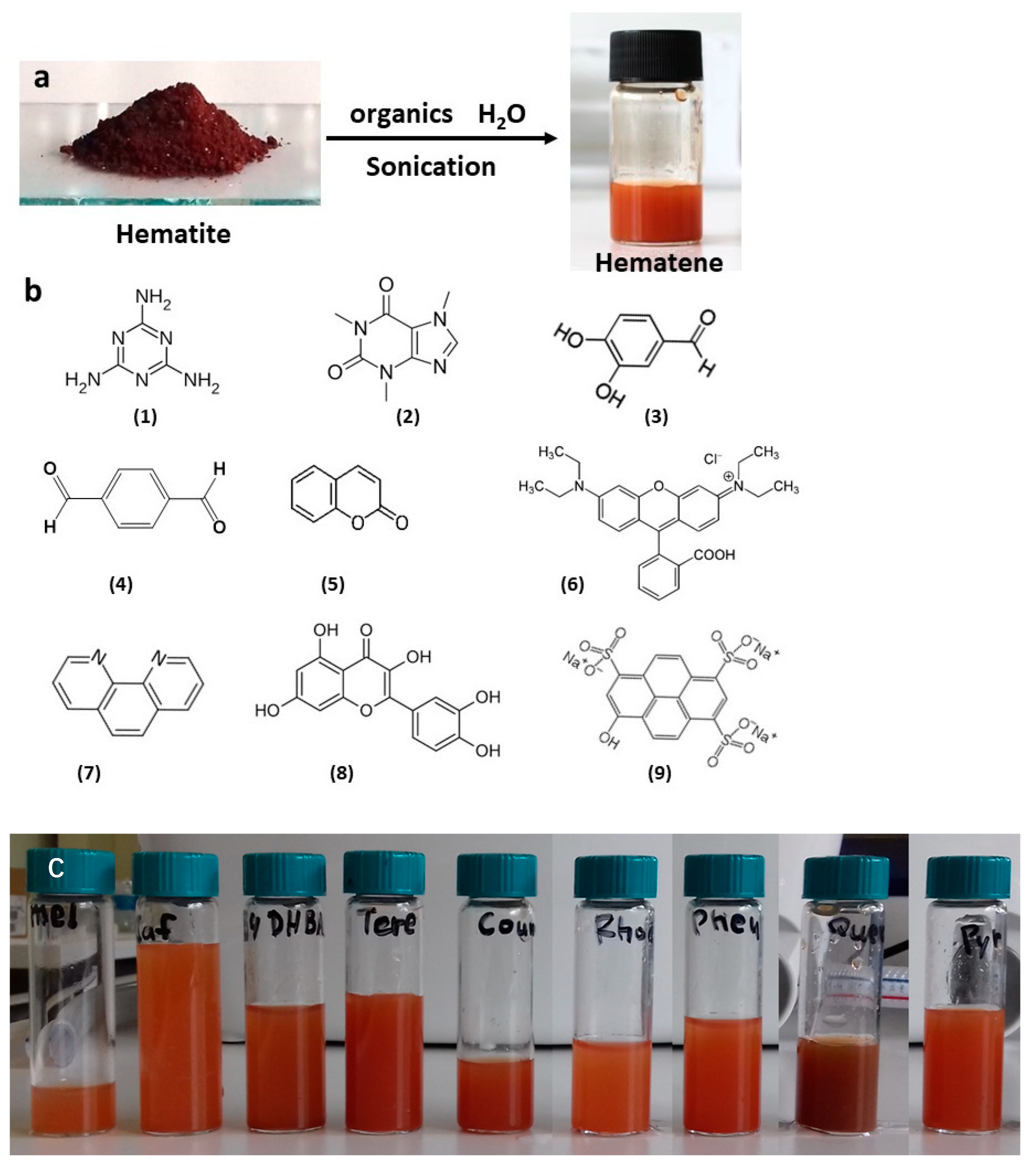 Molecules 29 03115 g001
