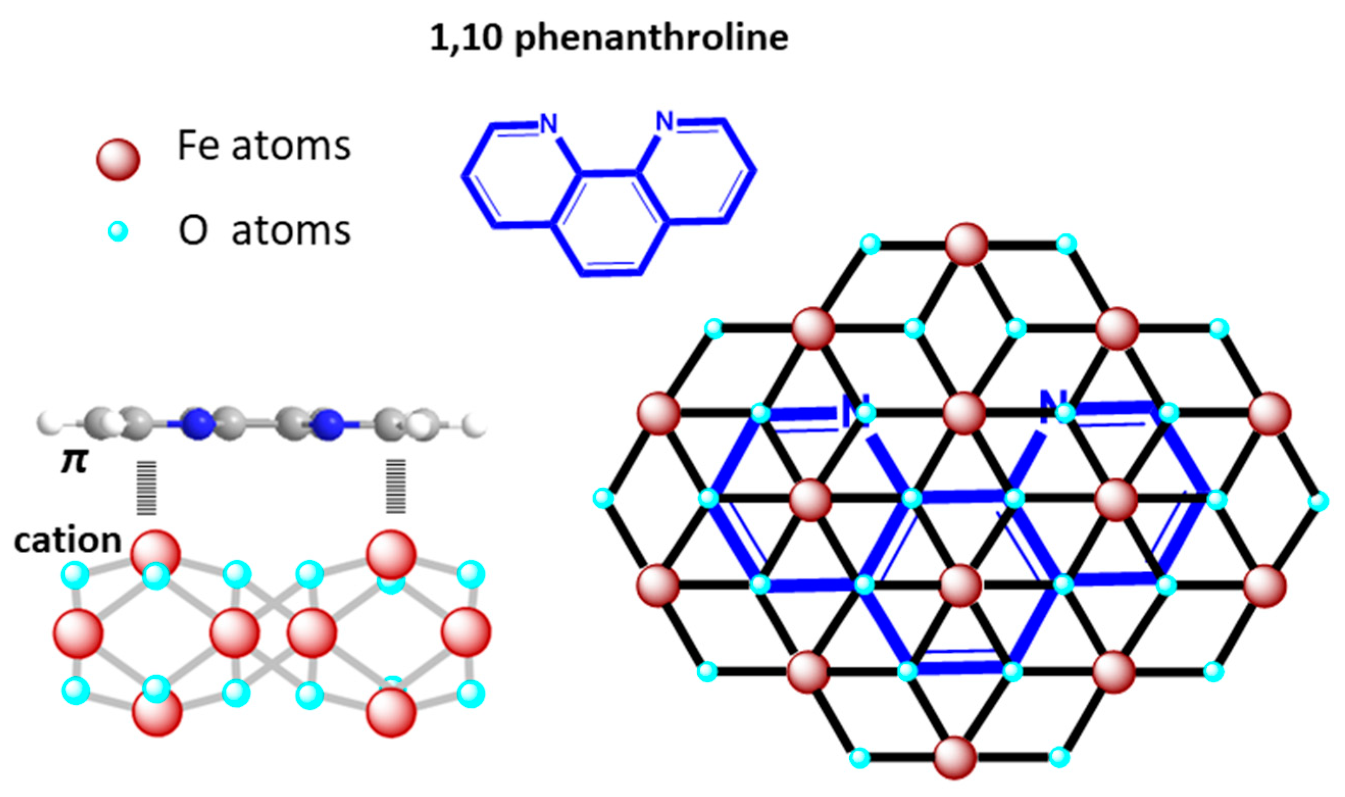 Molecules 29 03115 g007