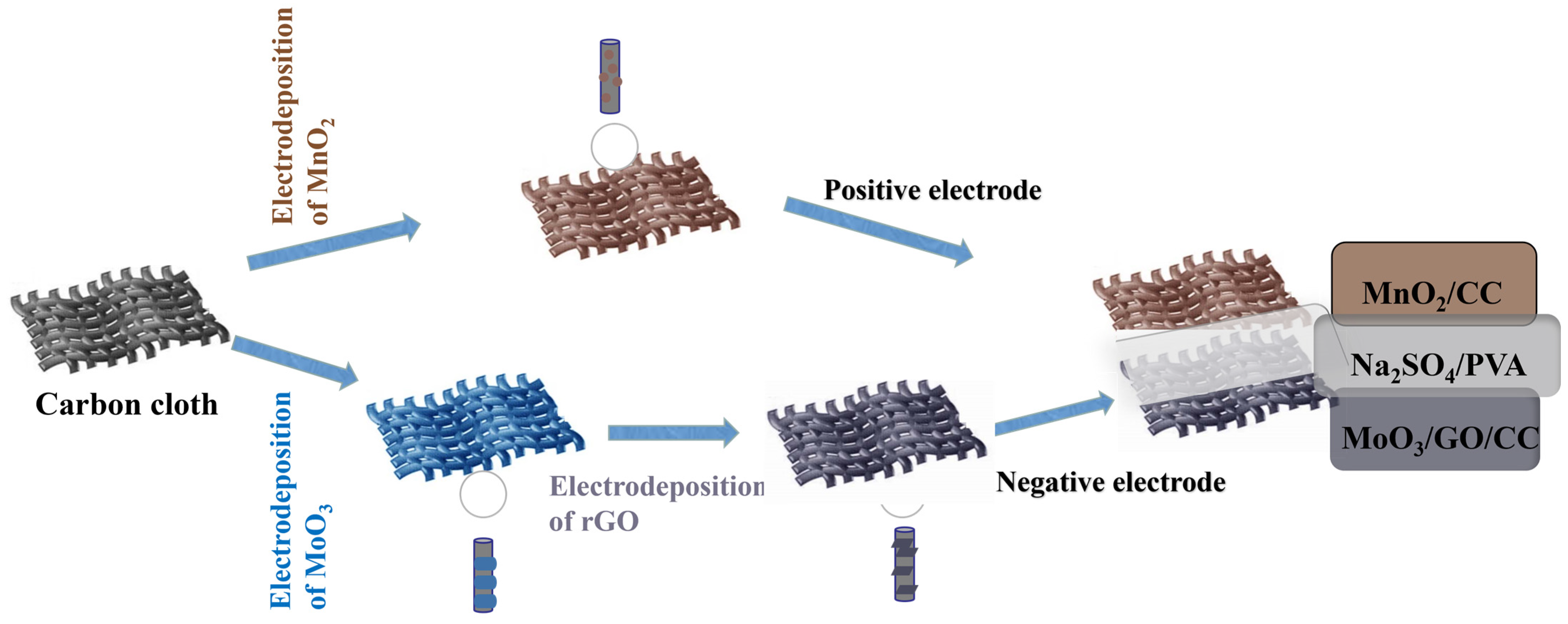 Molecules 29 03116 g001