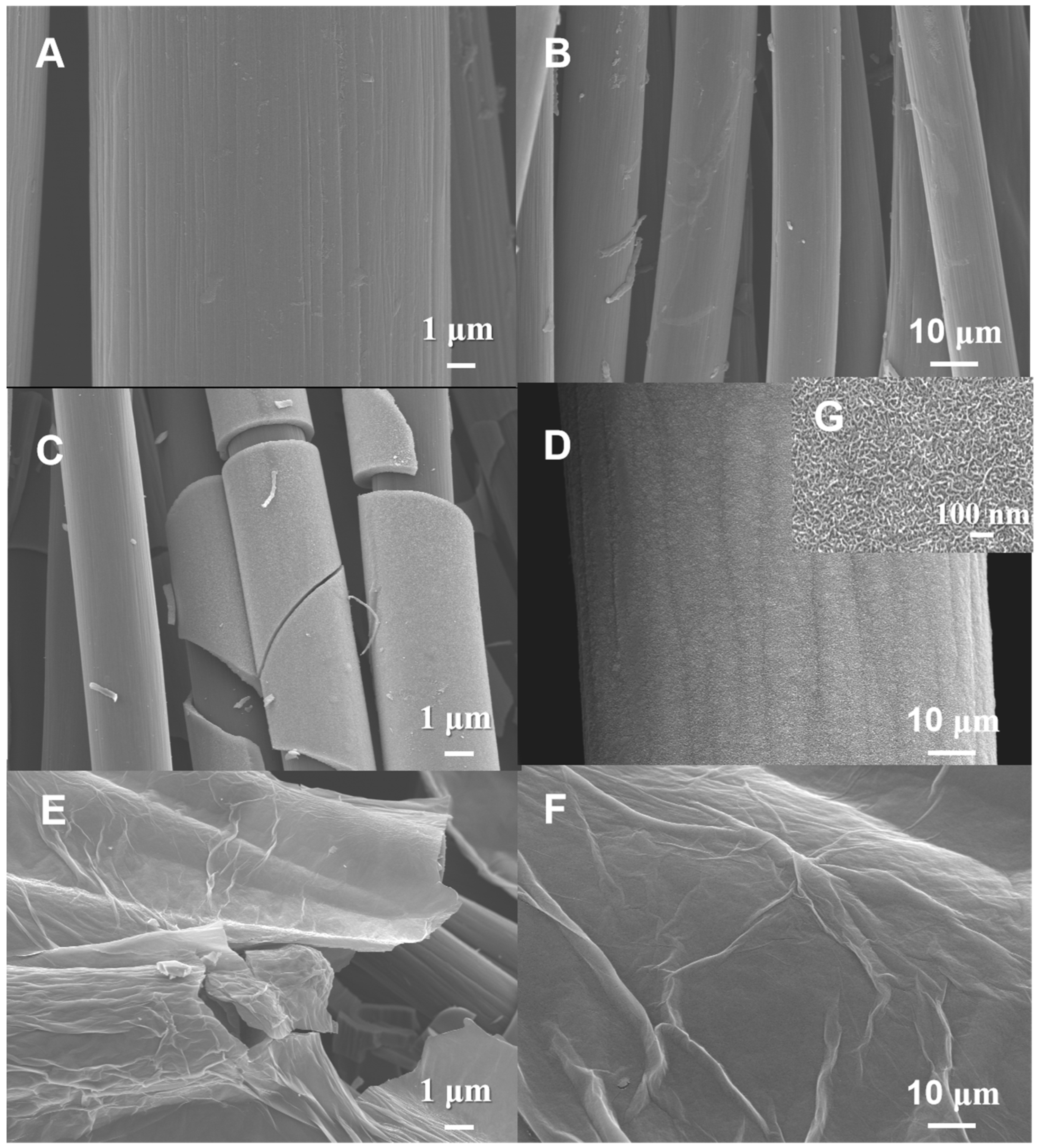Molecules 29 03116 g002