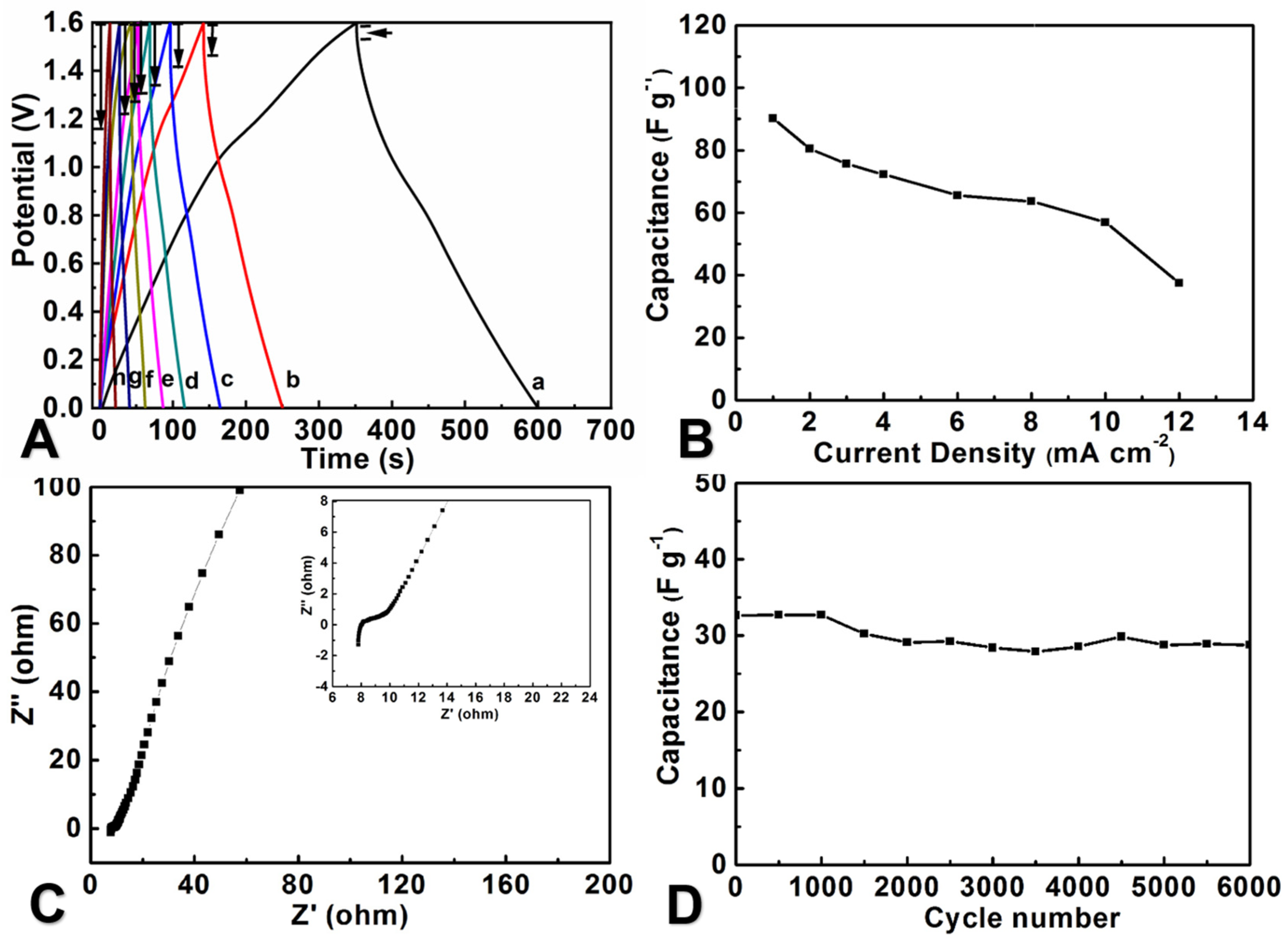 Molecules 29 03116 g007