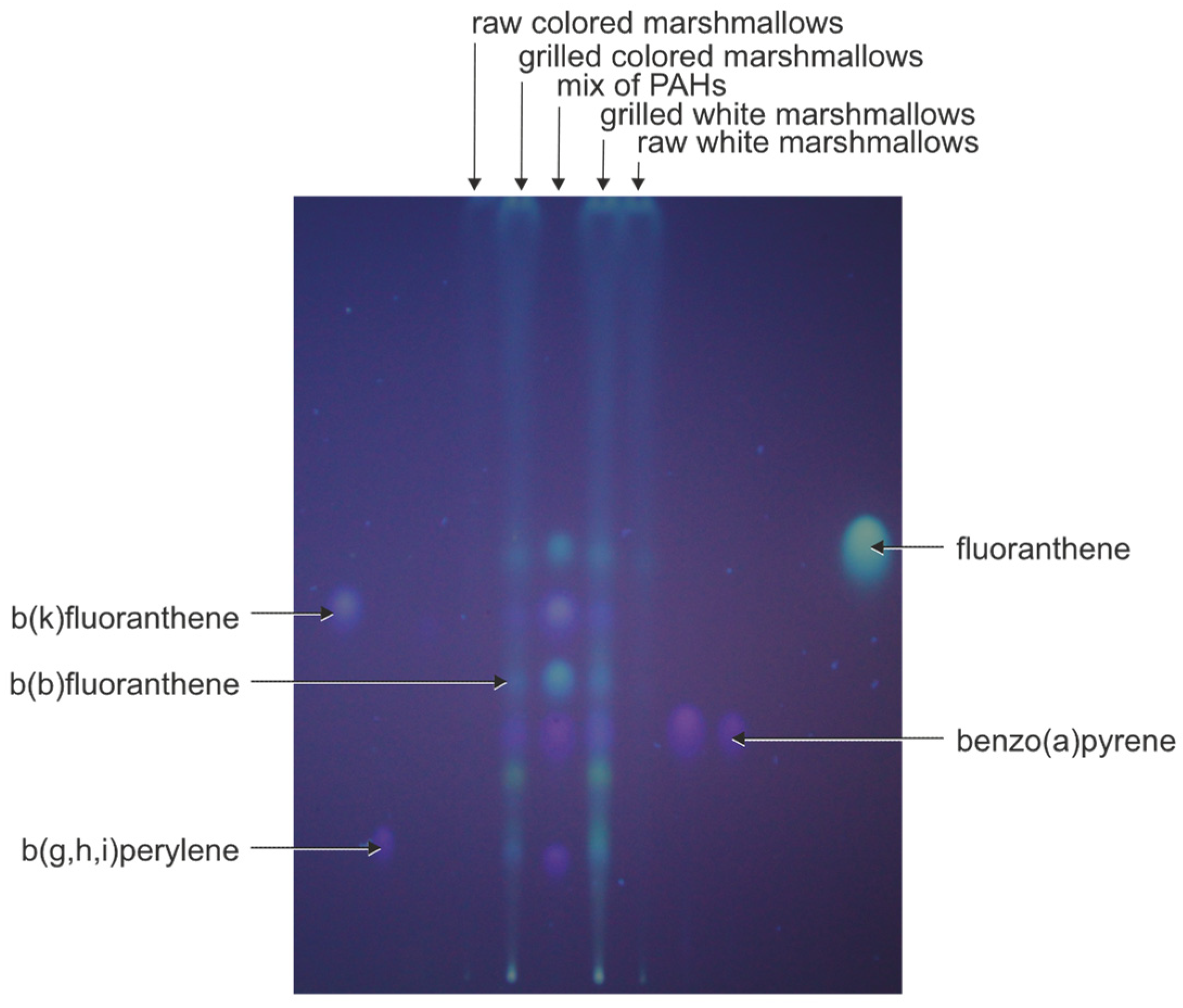 Molecules 29 03119 g001