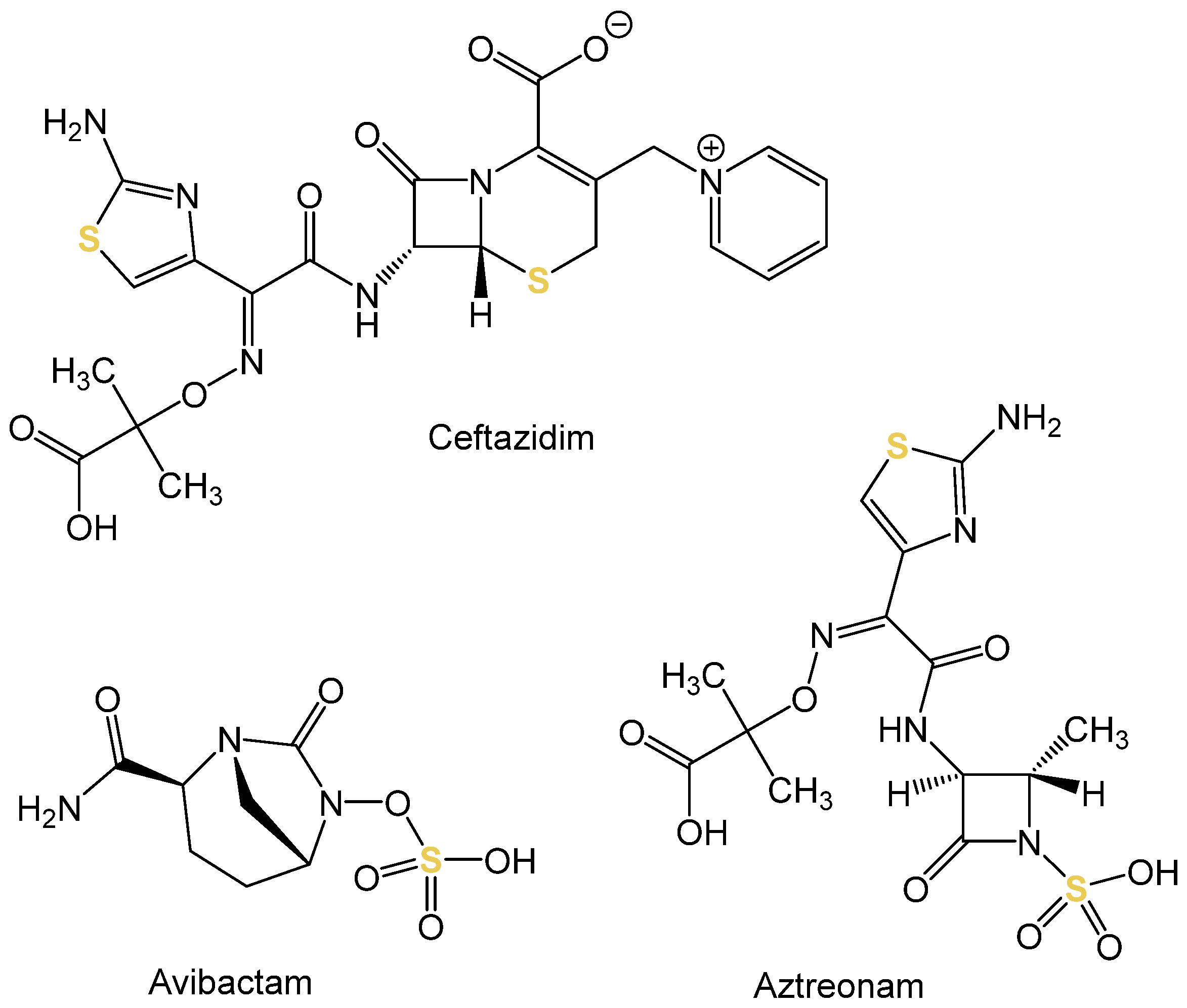Molecules 29 03120 g003