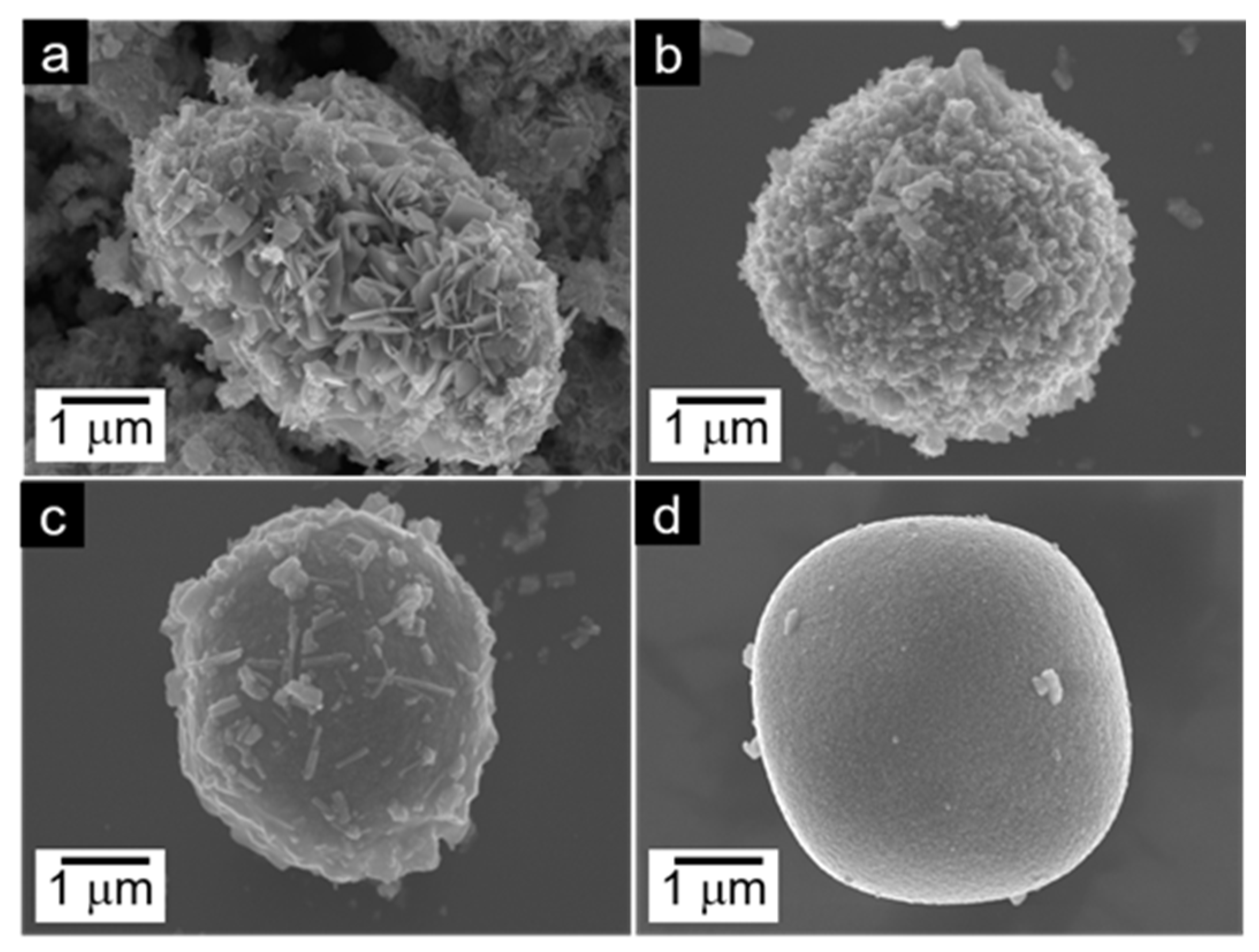 Molecules 29 03126 g002
