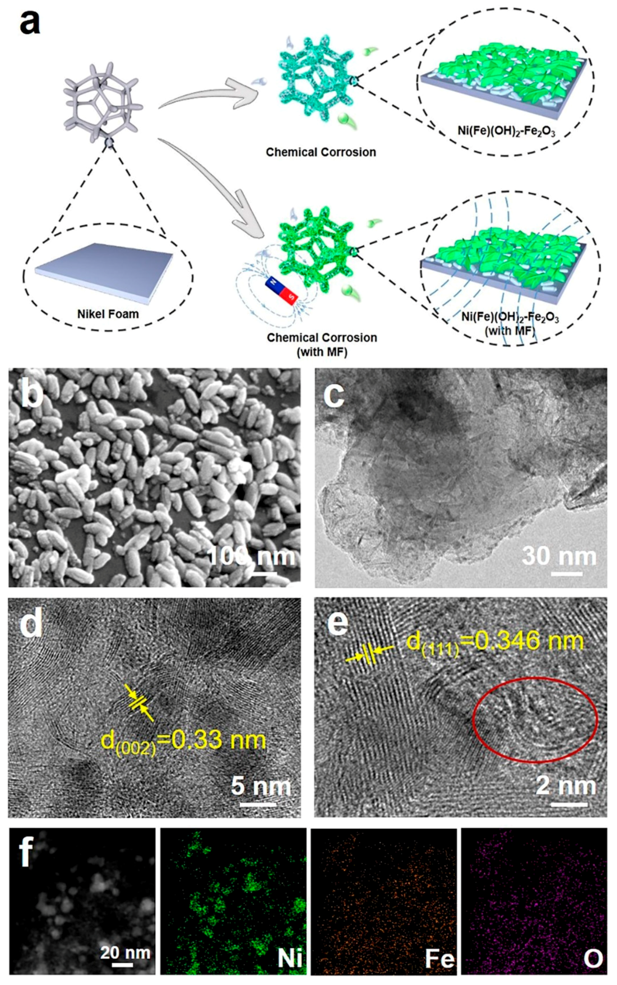 Molecules 29 03127 g001
