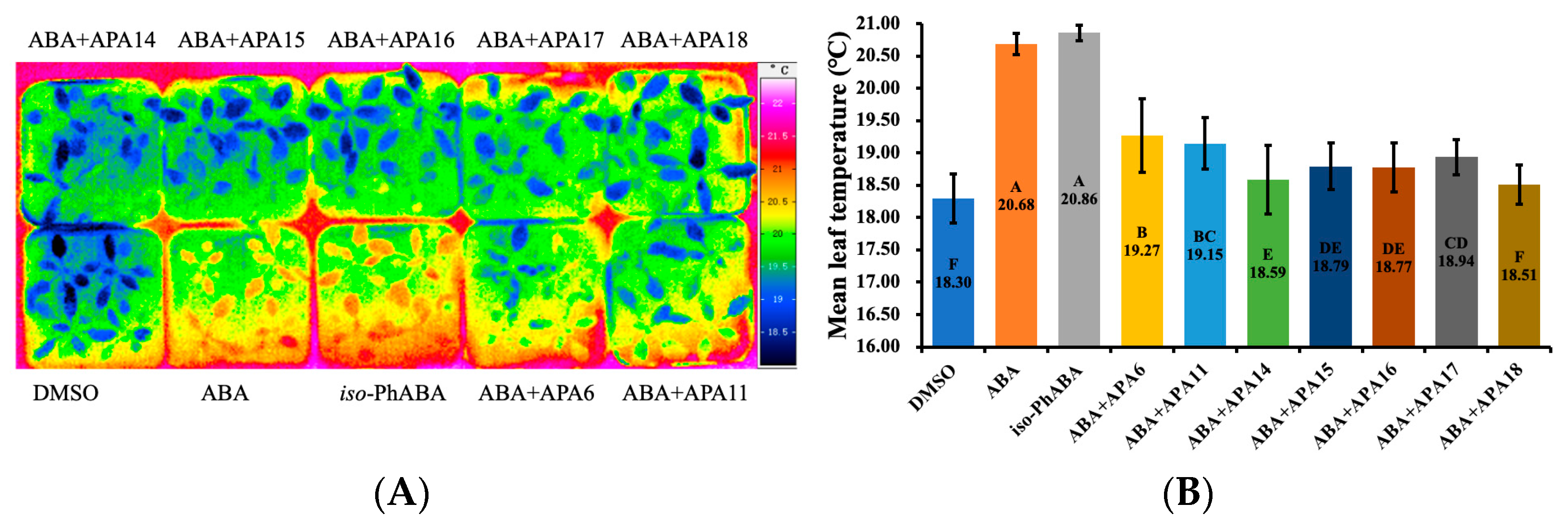 Molecules 29 03129 g003