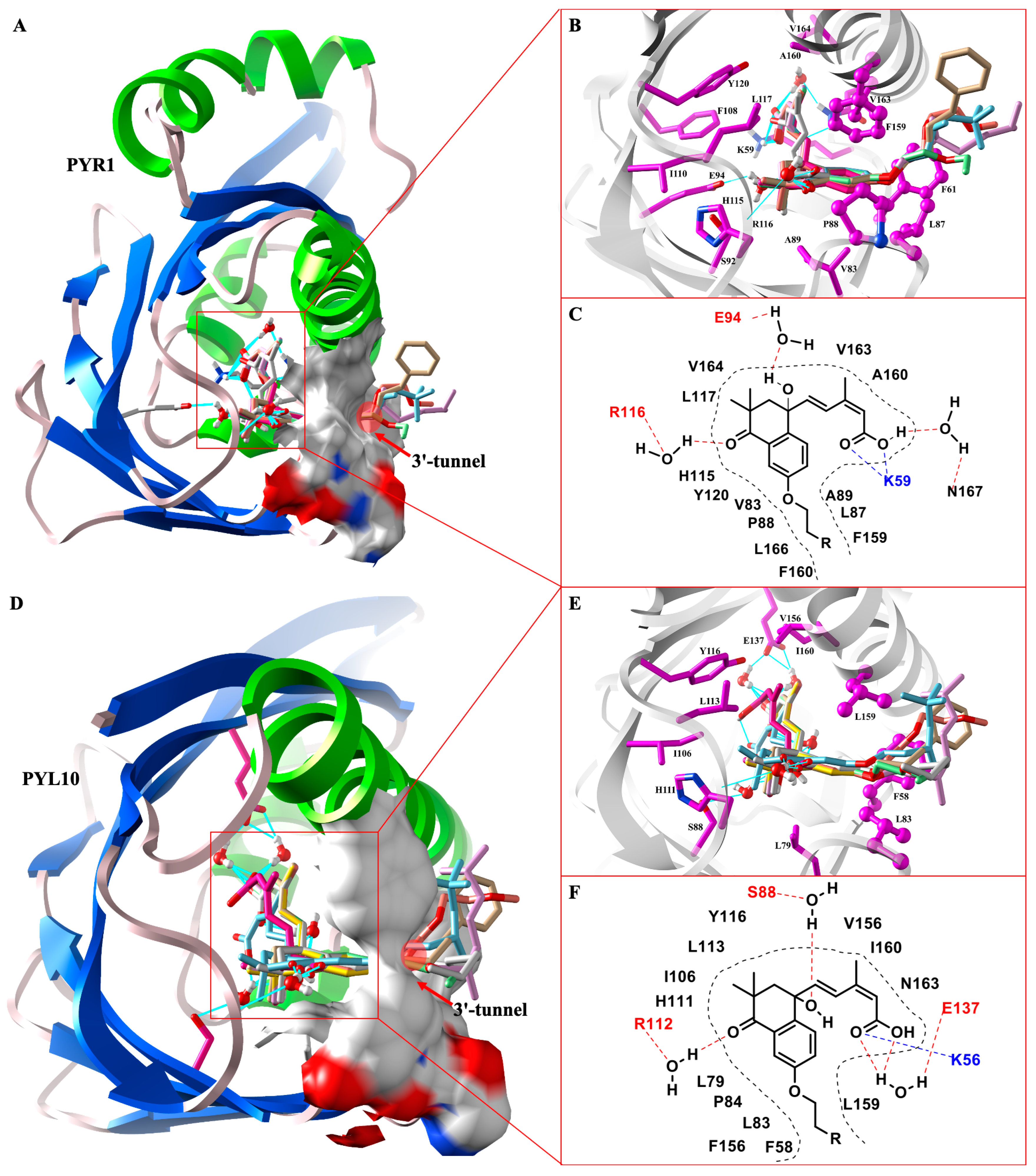 Molecules 29 03129 g004