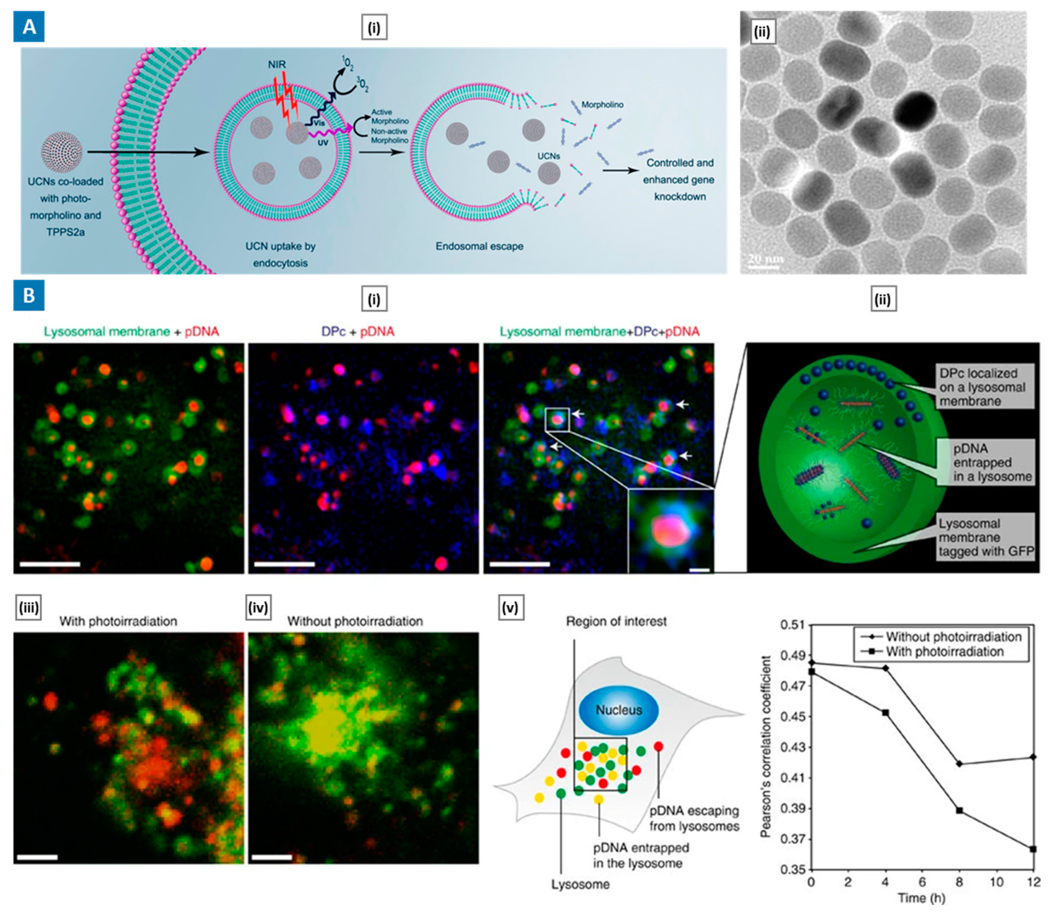 Molecules 29 03131 g006 Molecules 29 03131 g006