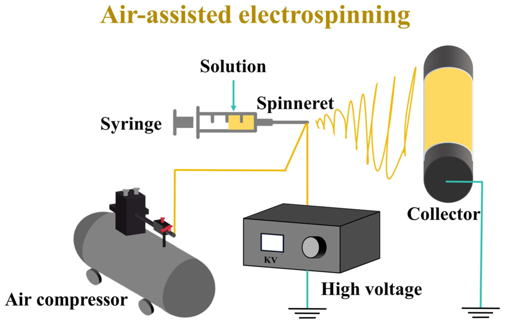Molecules 29 03136 g010