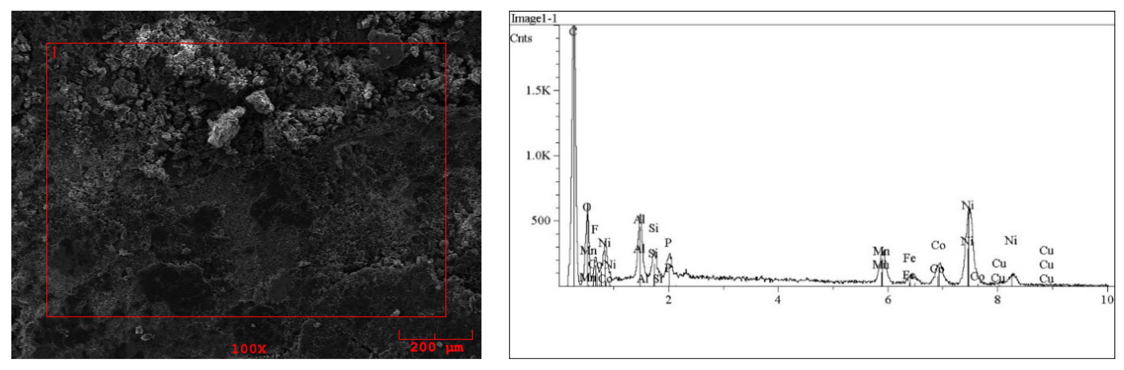 Molecules 29 03142 g002