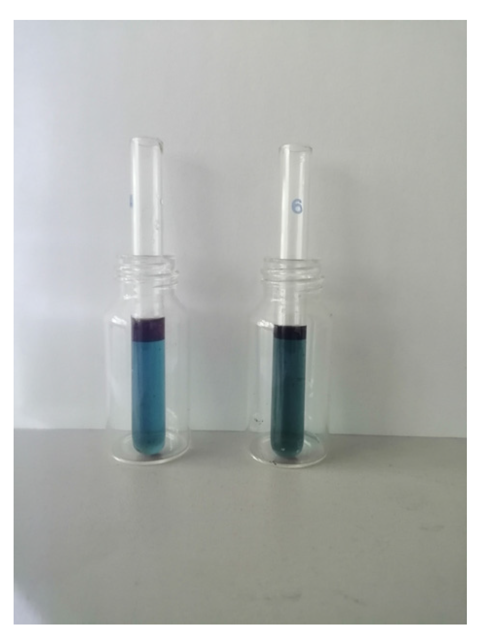 Molecules 29 03142 g004