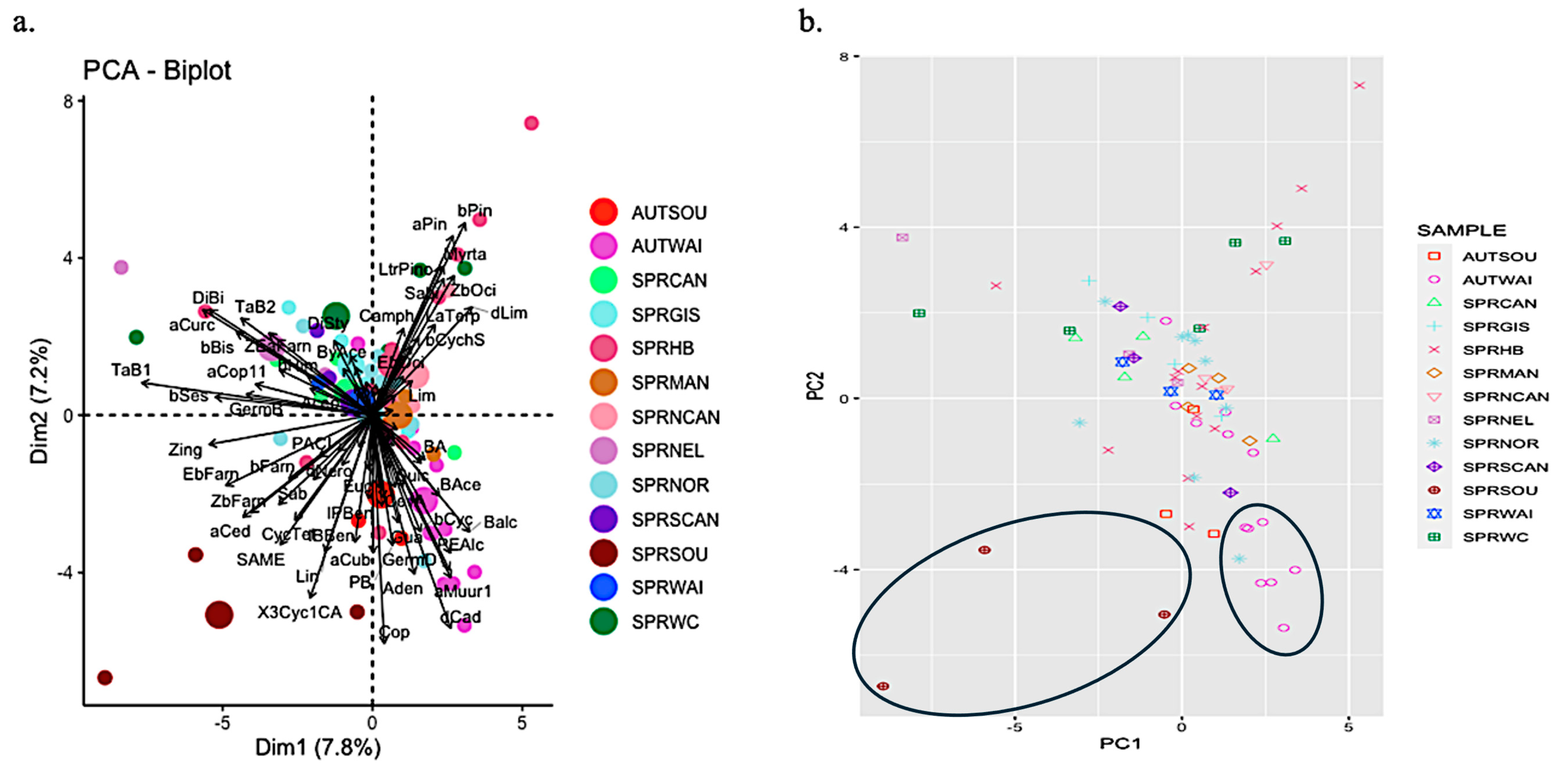 Molecules 29 03143 g004