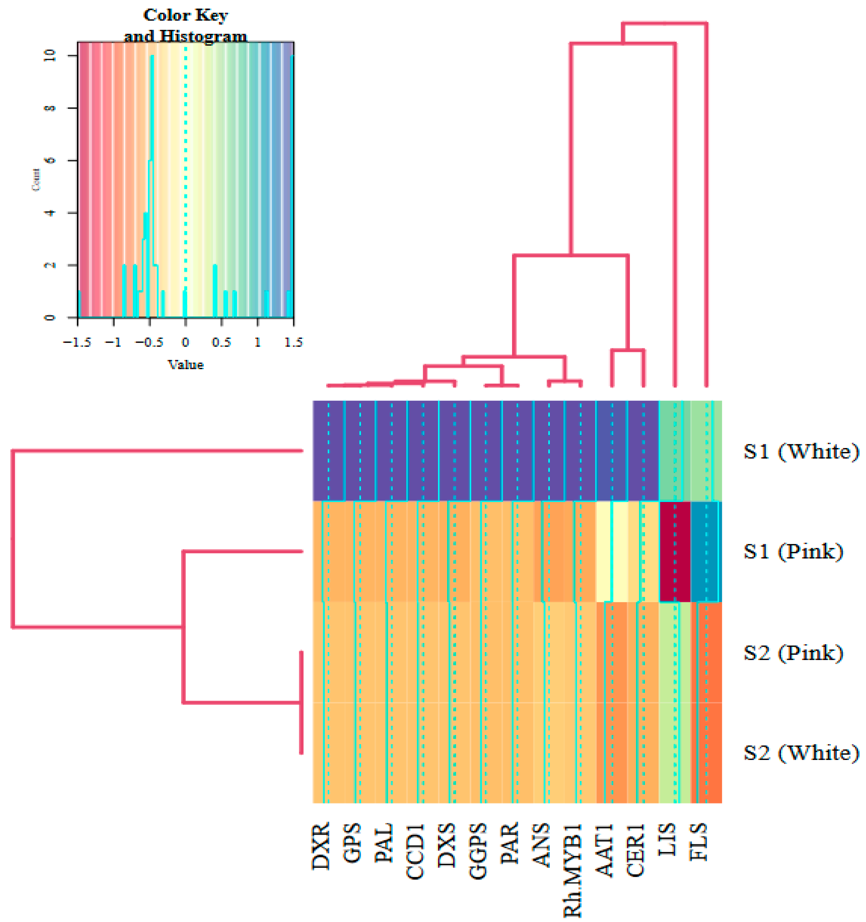 Molecules 29 03145 g006