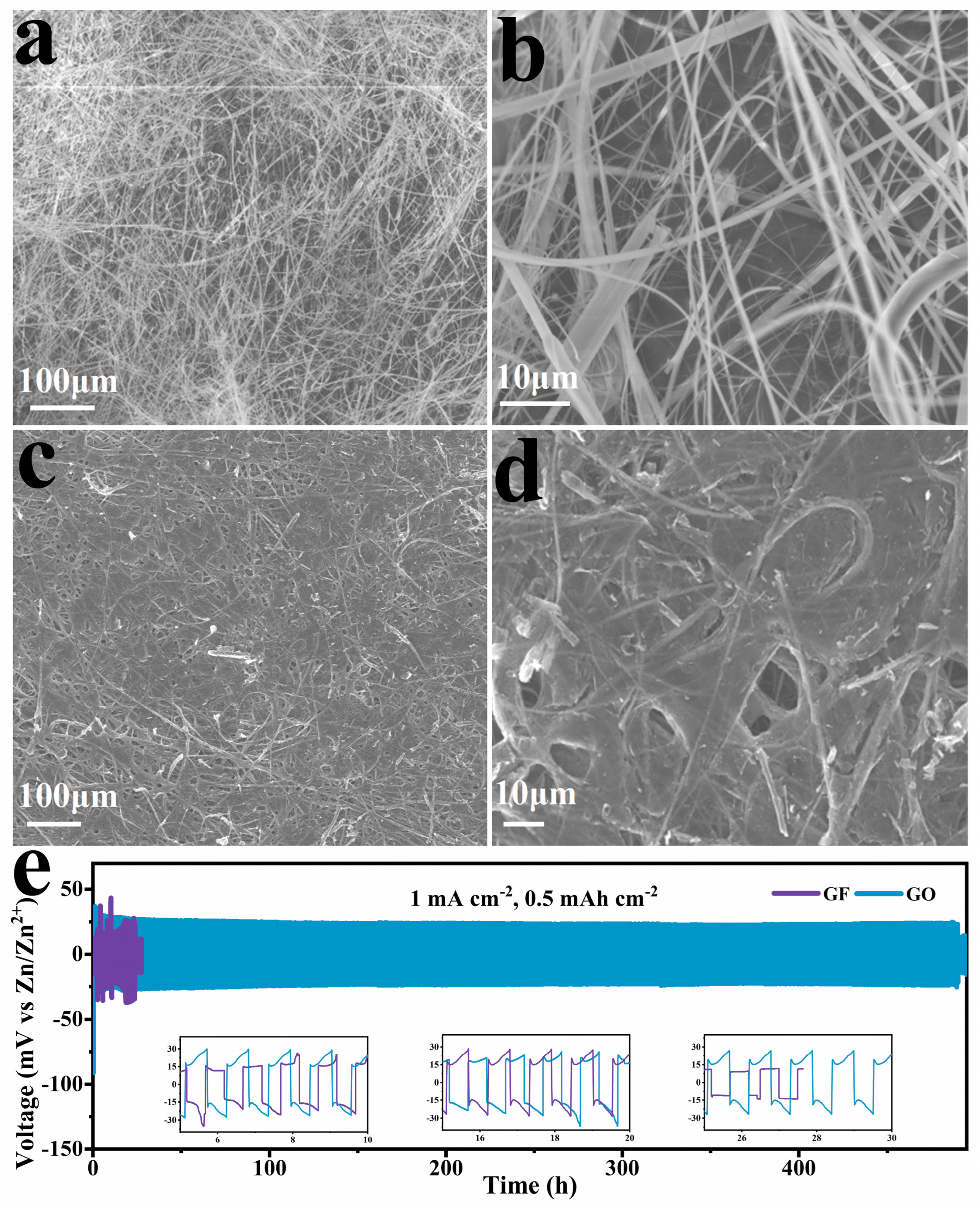 Molecules 29 03147 g005