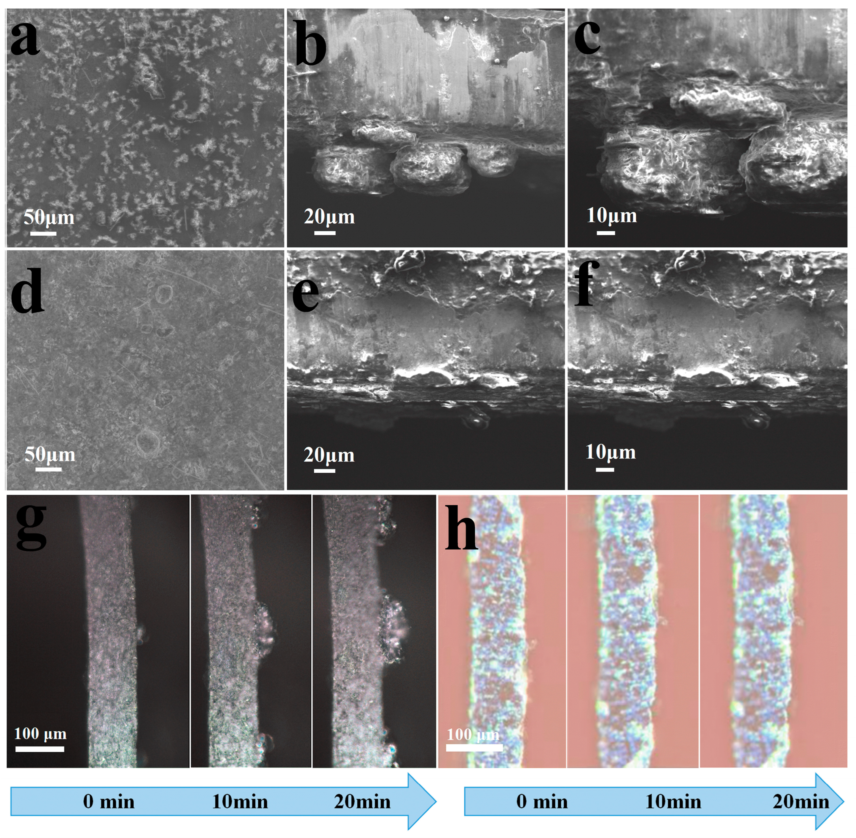 Molecules 29 03147 g006