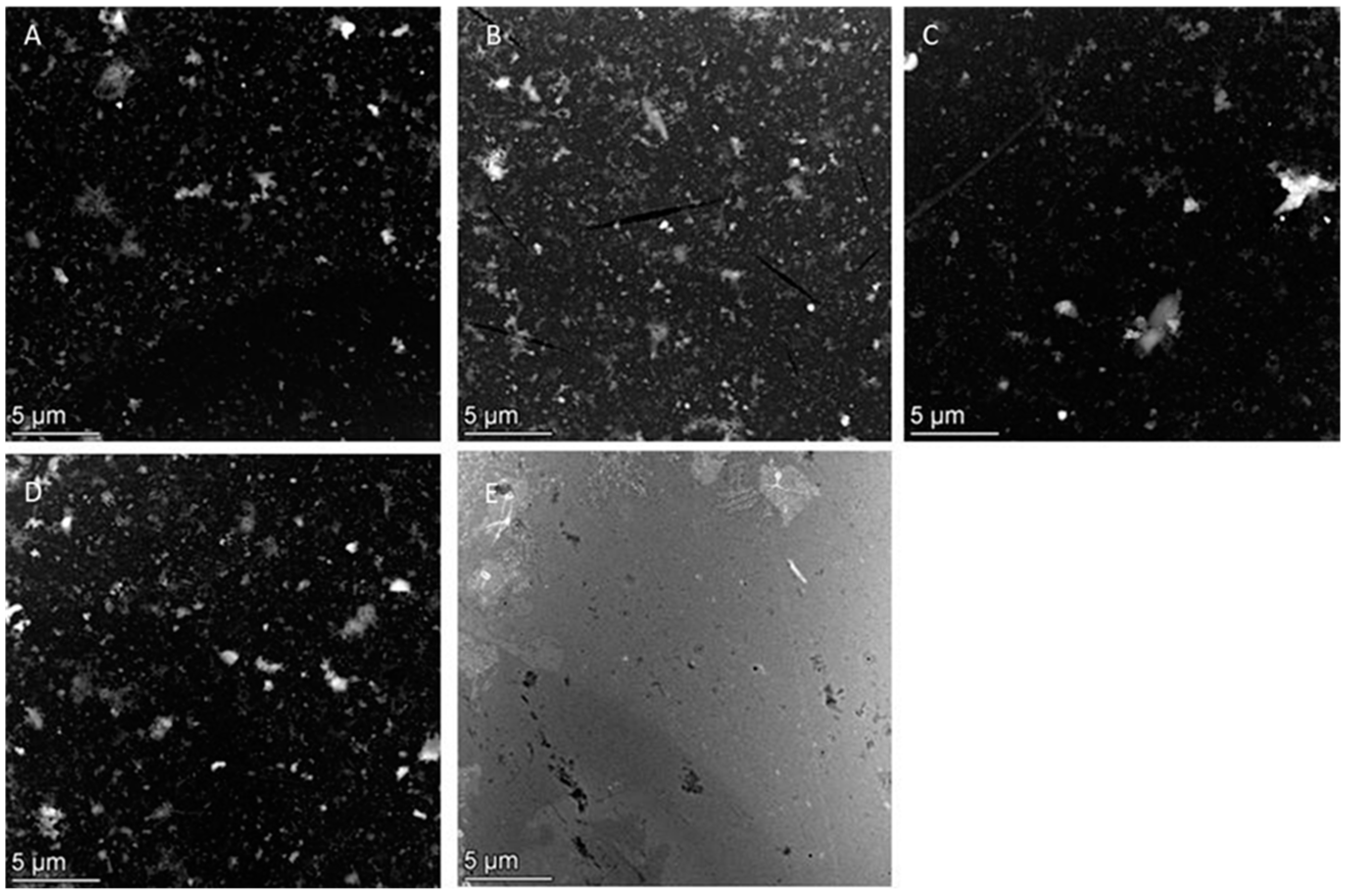 Molecules 29 03148 g004