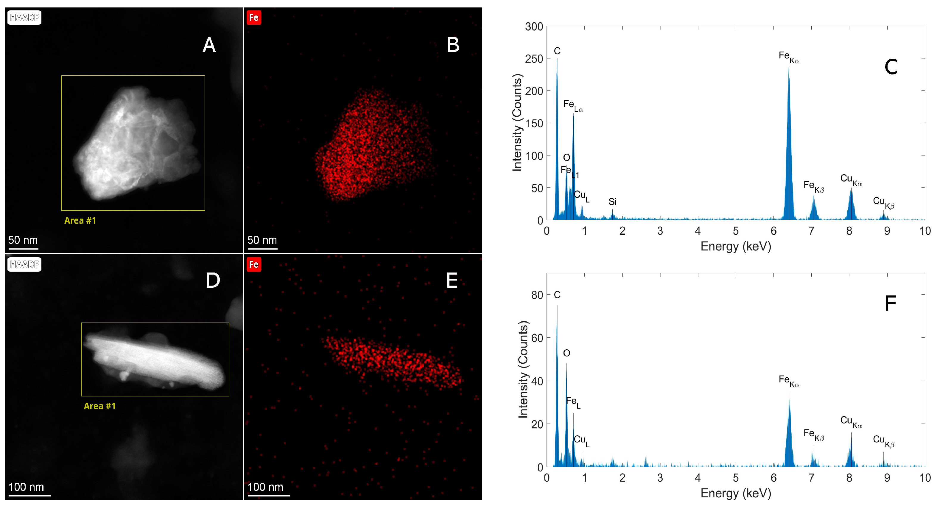 Molecules 29 03148 g006