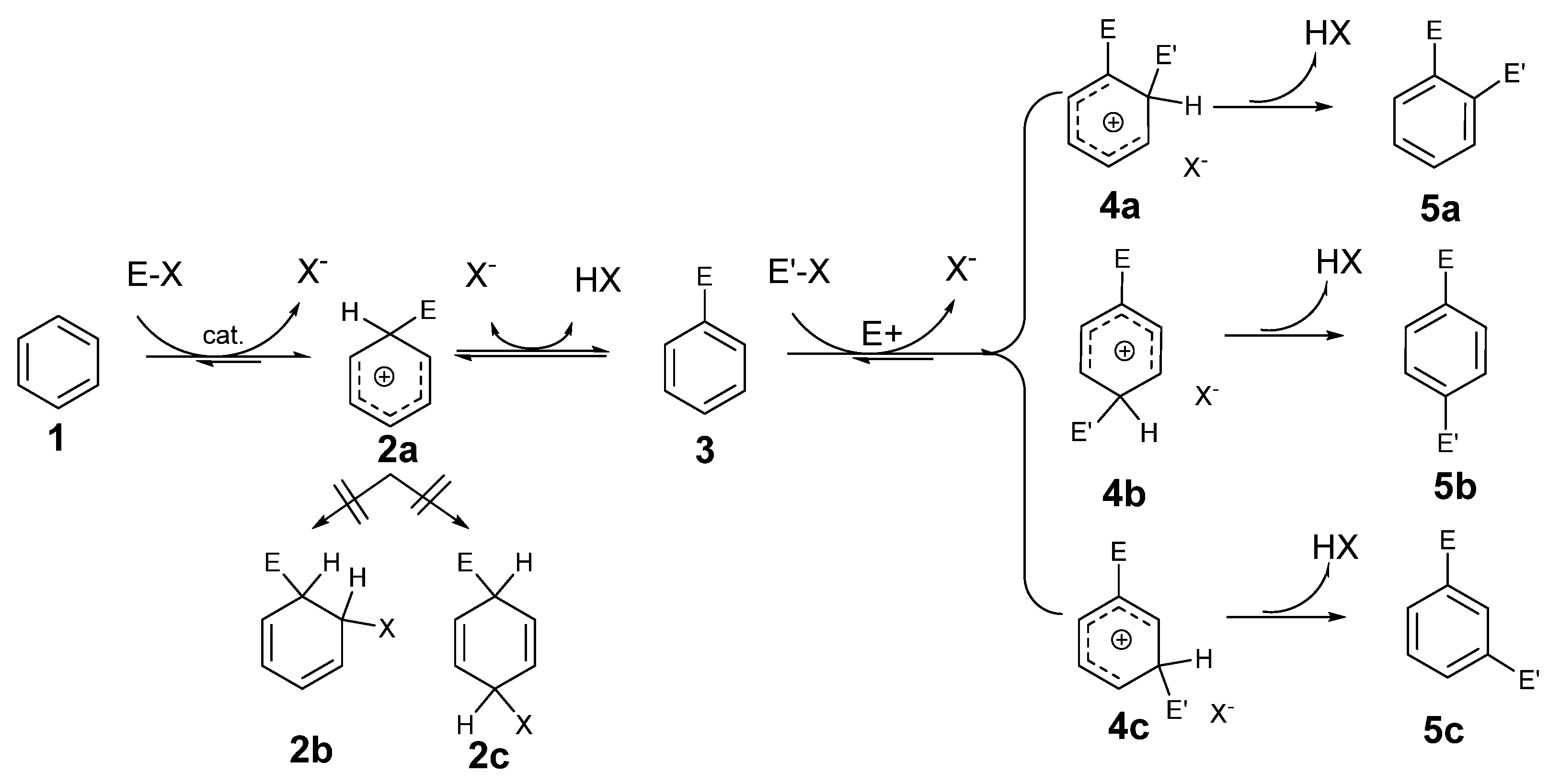 Molecules 29 03151 sch001