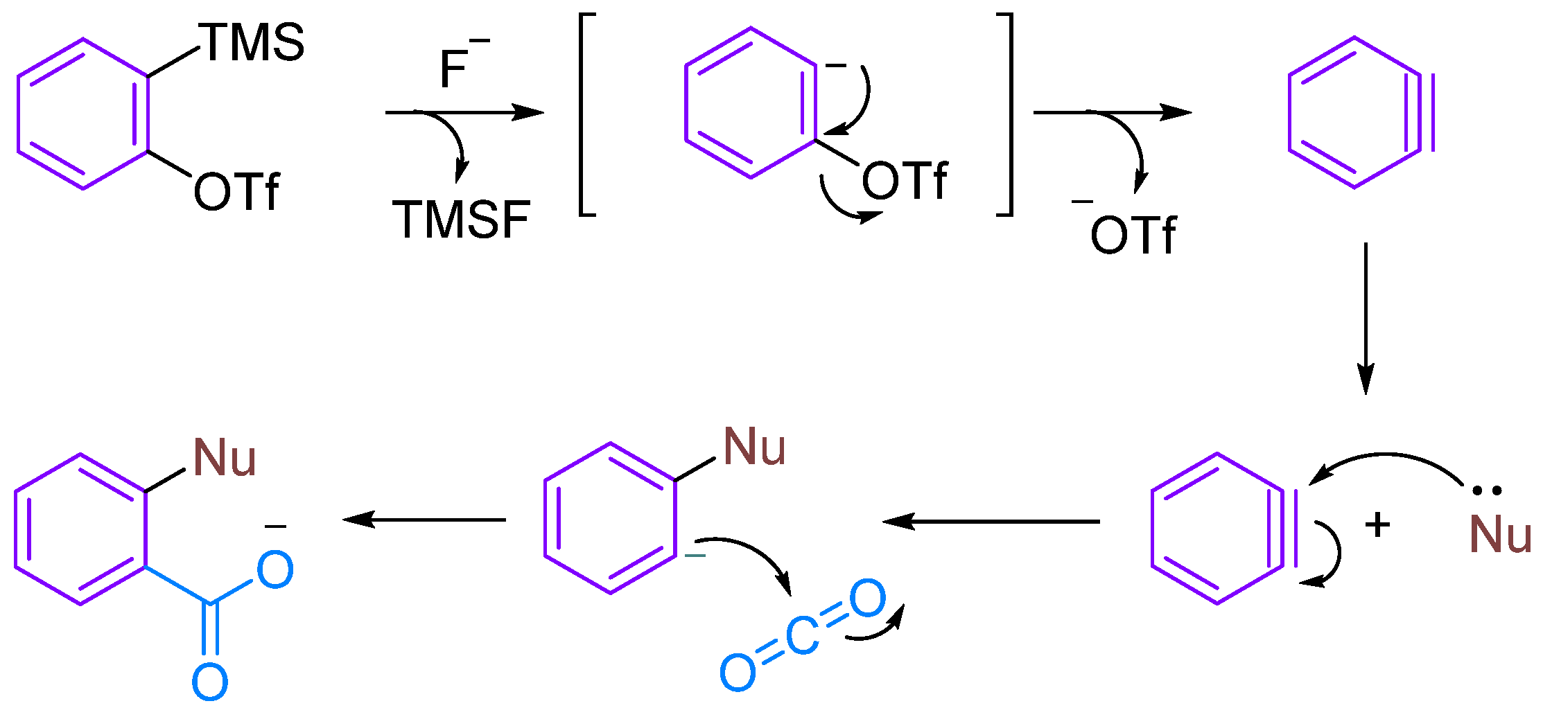 Molecules 29 03152 g001