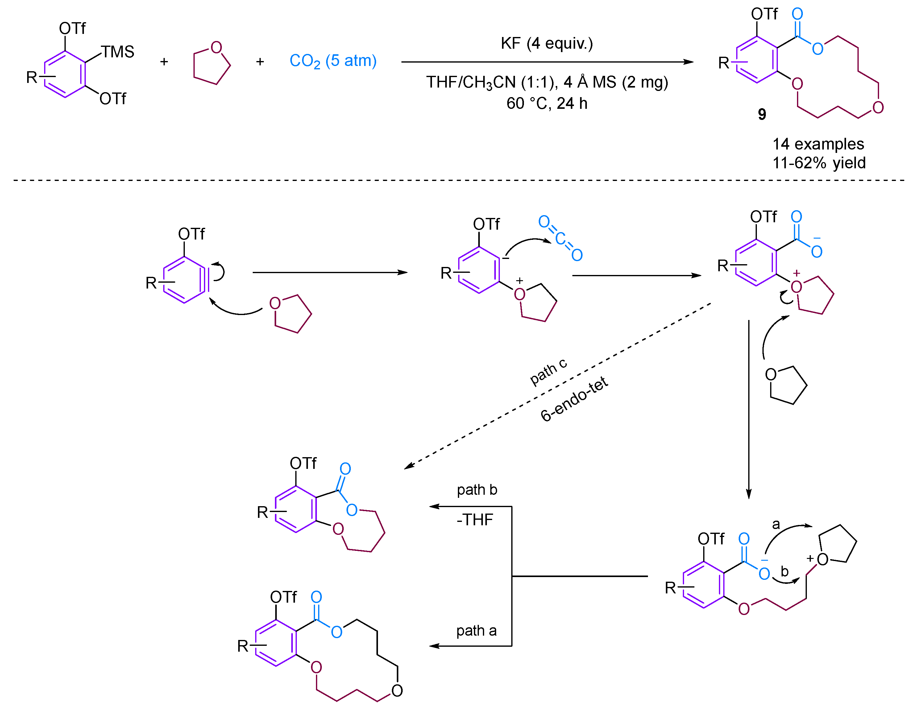 Molecules 29 03152 g011